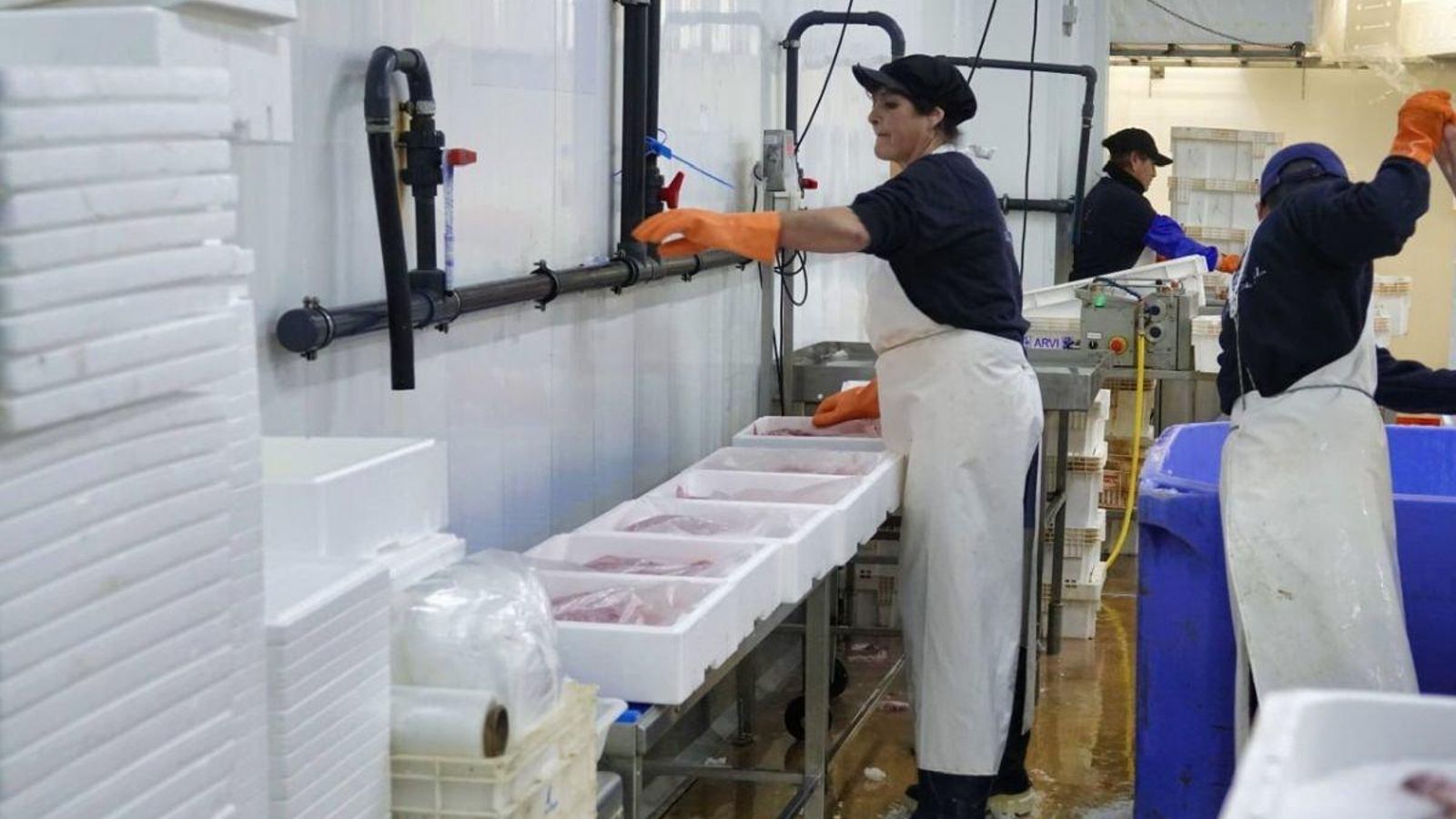 En el interior de la lonja hay espacio para que las distintas empresas pesqueras puedan preparar sus productos frescos para llevarlos a los grandes centros de distribución listos para el consumo.