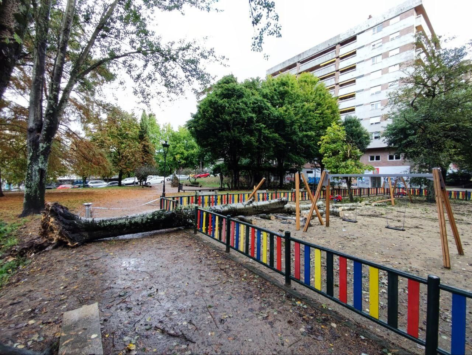 El olmo que se precipitó sobre el parque Seara cerca de López Mora. // Vicente Alonso