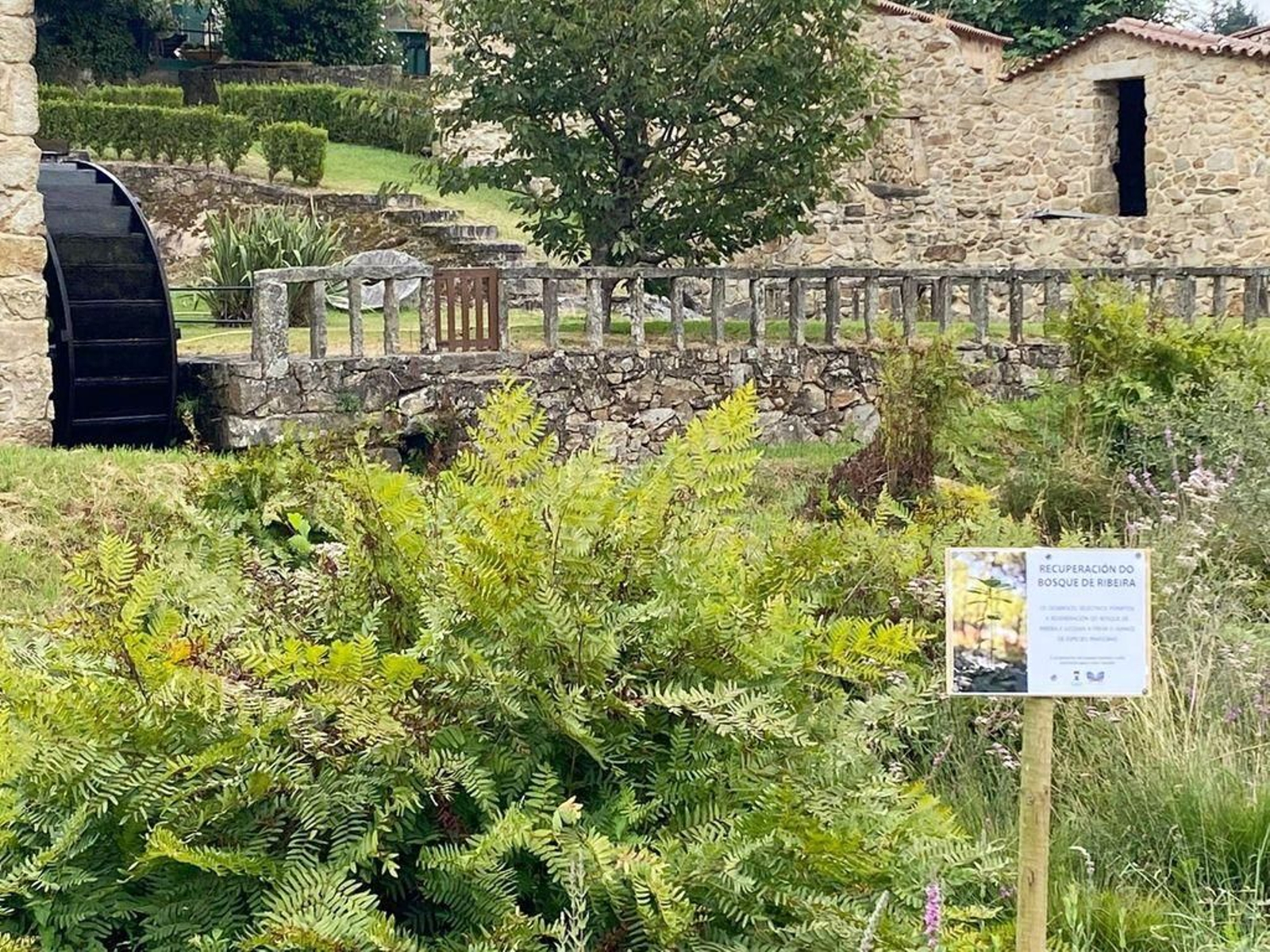 Unos carteles indican el tipo de plantas que se han preservado y que forman parte del ecosistema.