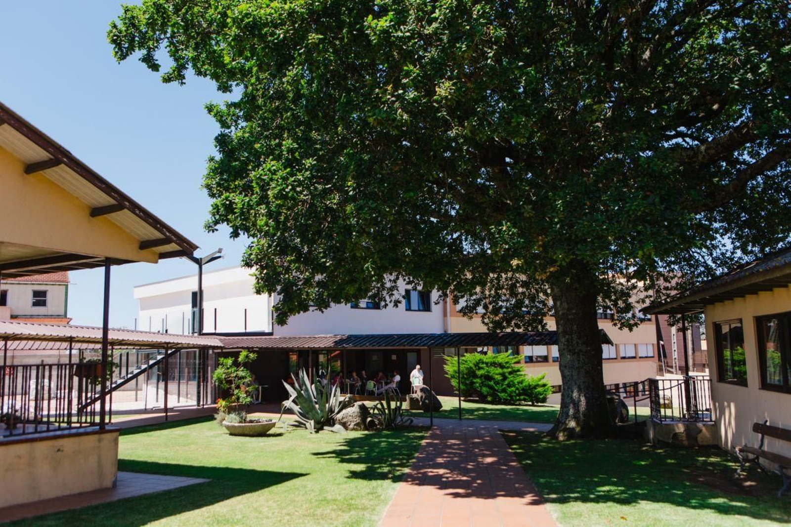 El hospital psiquiátrico El Pinar está situado en la carretera vieja de Madrid.