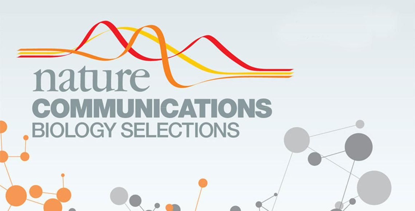 La revista "Nature Communications" revela la huella genética de los españoles en América.