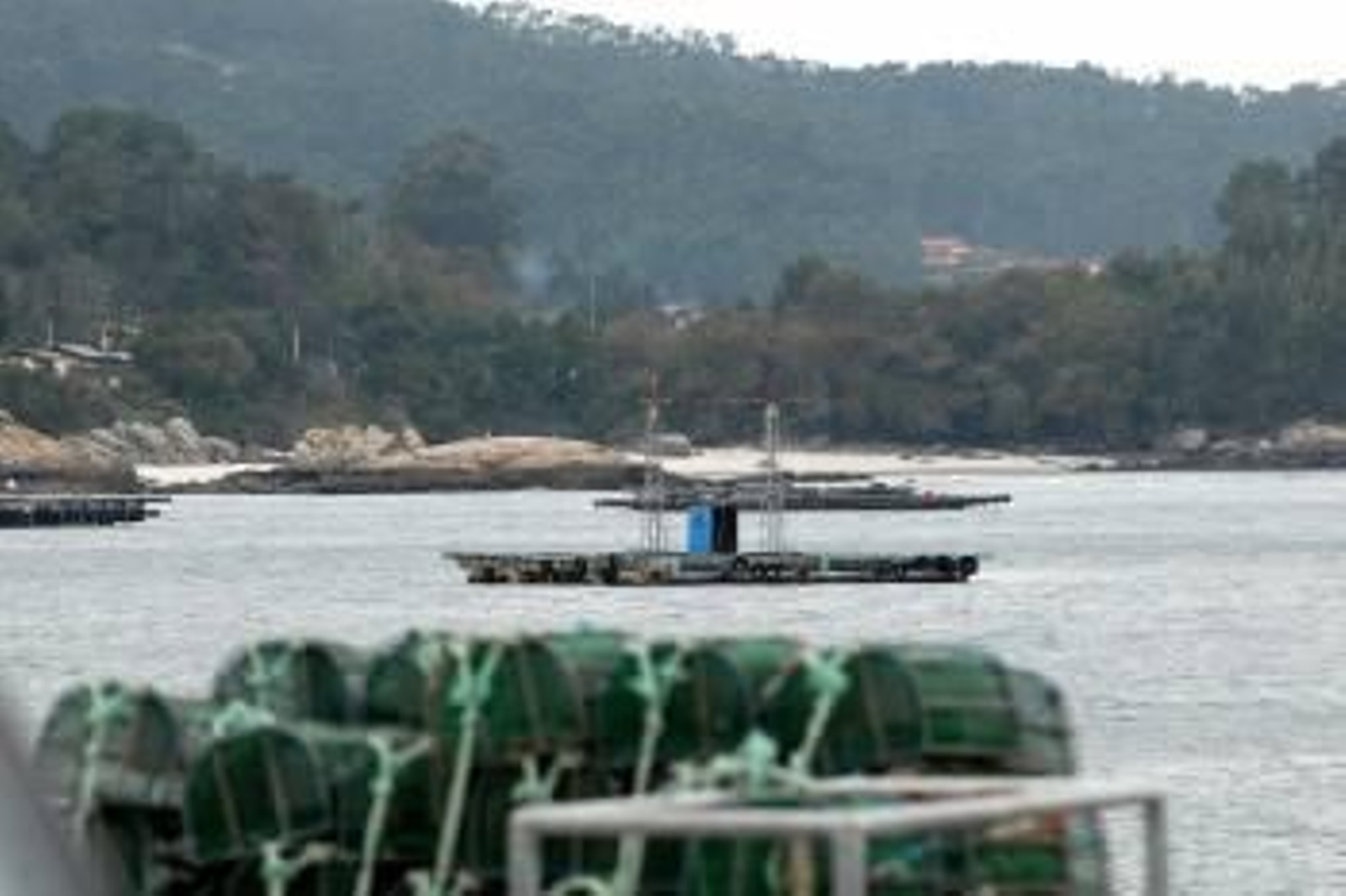 La batea de Aldán (en la imagen) tiene capacidad para una producción anual de 450 toneladas. LYDIA MIRANDA