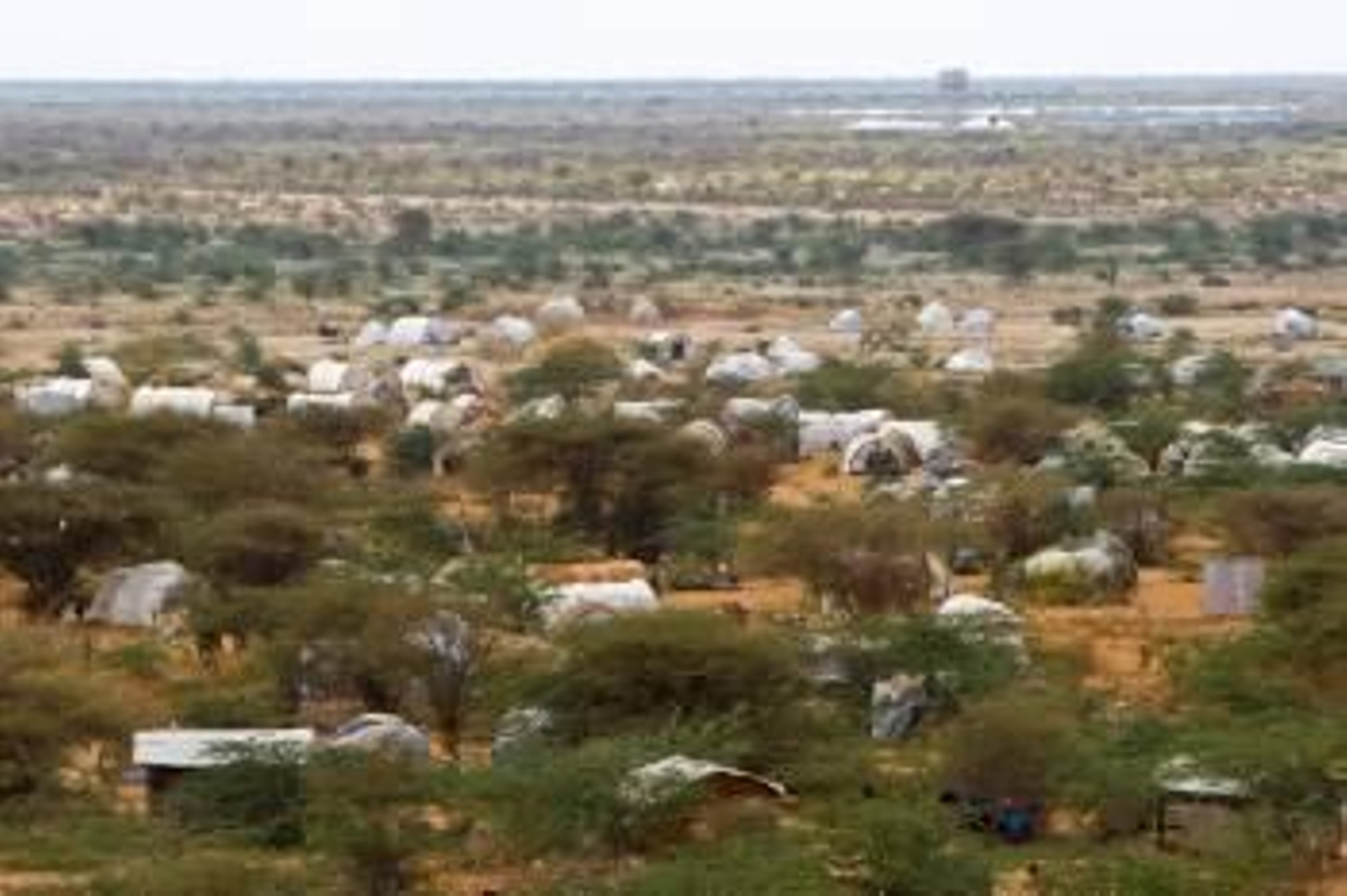 Campamento de refugiados somalíes en la localidad keniana de Dadaab. (Foto: DAI KUROKAWA)