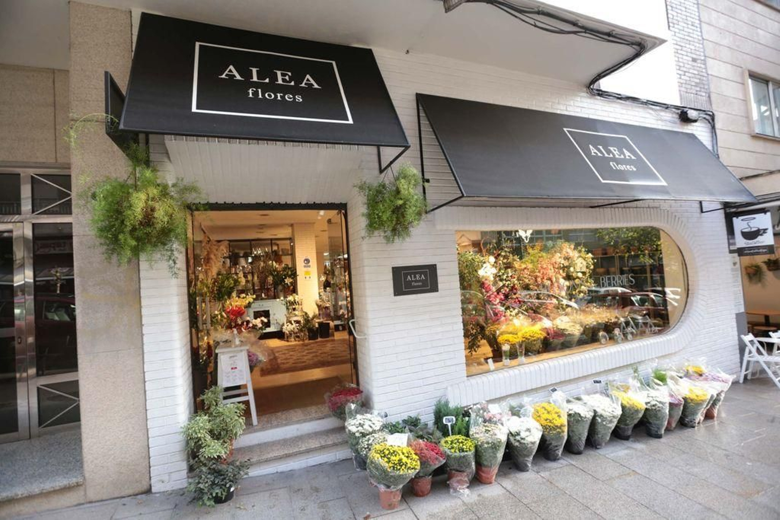 Las especies autóctonas, como la gerbera y el crisantemo, son más competitivas y con más ventas estos días.