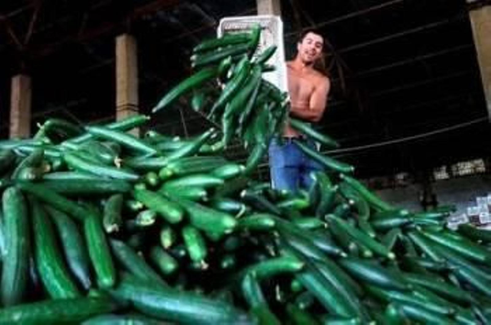 Un trabajador desechando pepinos (Foto: Archivo EFE)