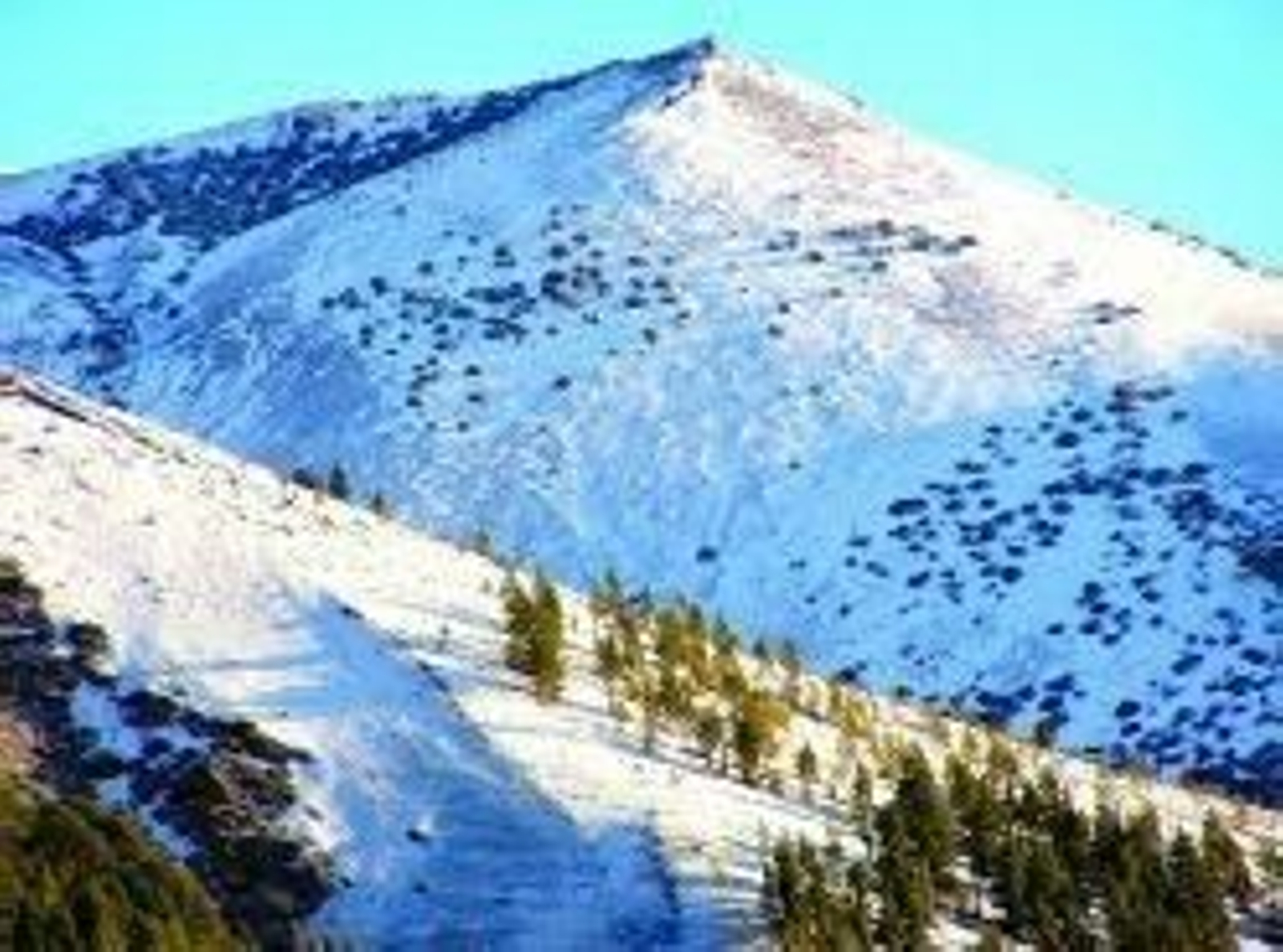Hielo y nieve impiden el acceso al Teide.