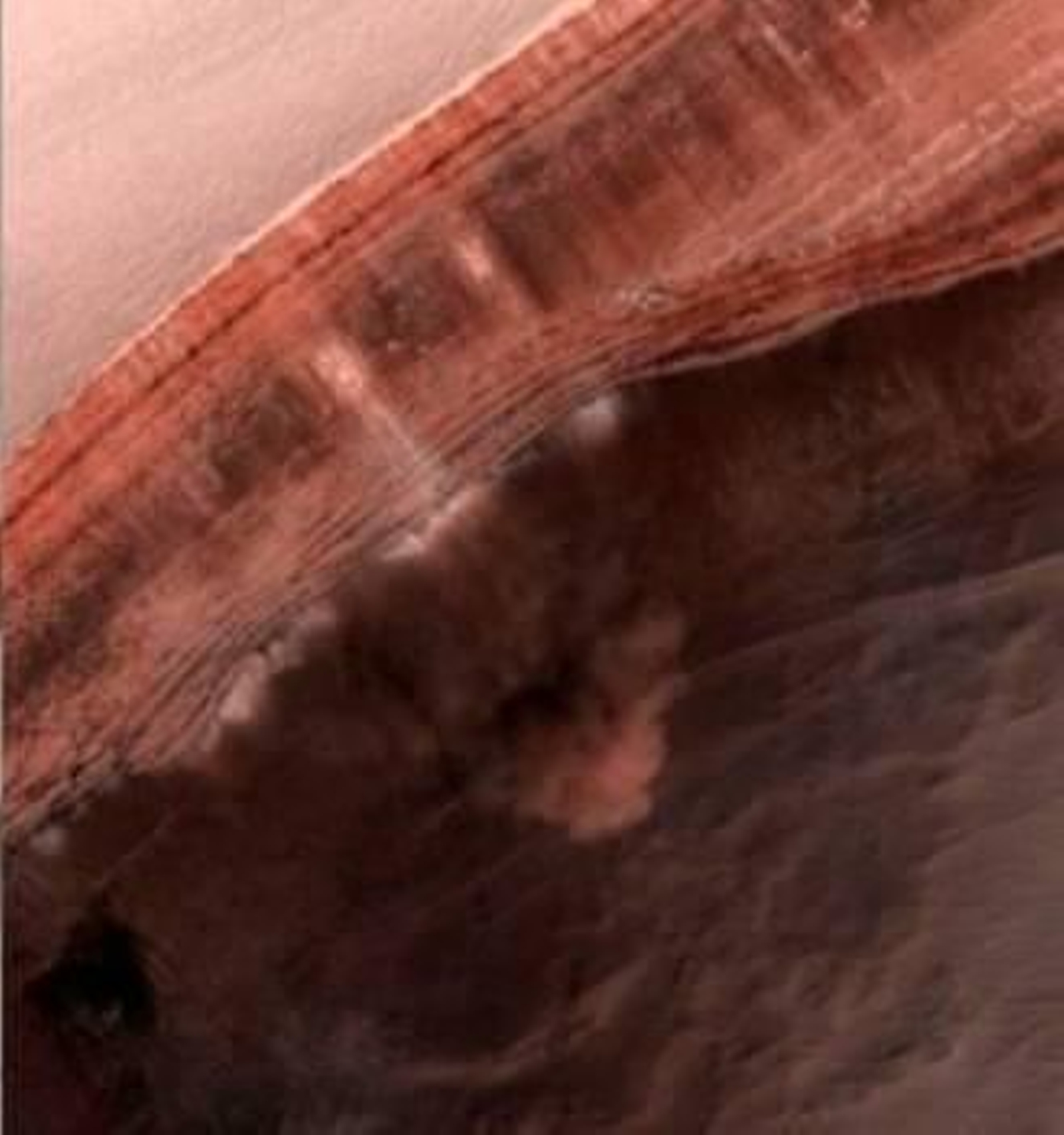 Foto: NASA/JPL/UNIVERSITY OF ARIZONA