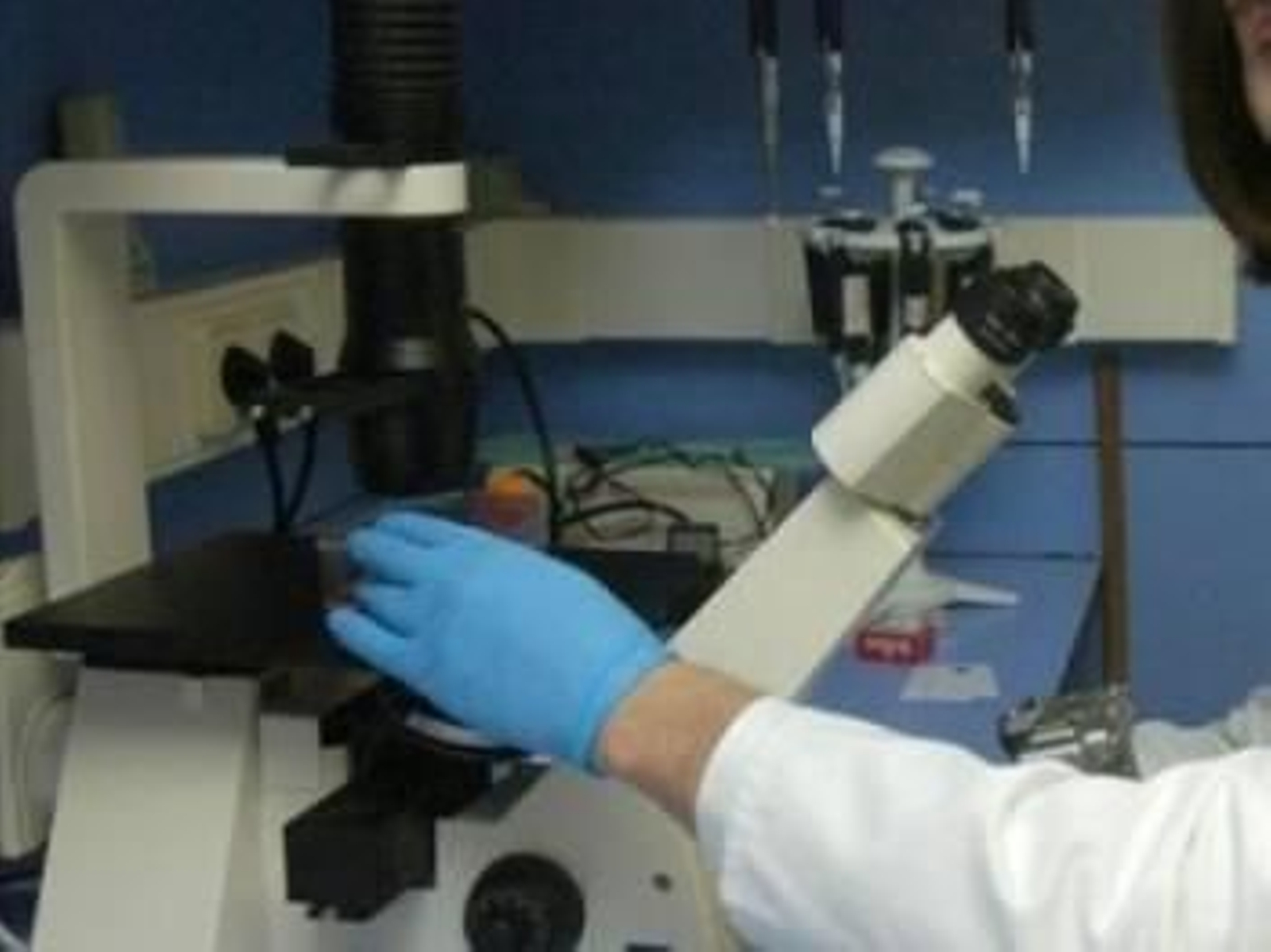 Laboratorio oncológico donde se investiga para combatir el cáncer.  (Foto: Archivo EFE)