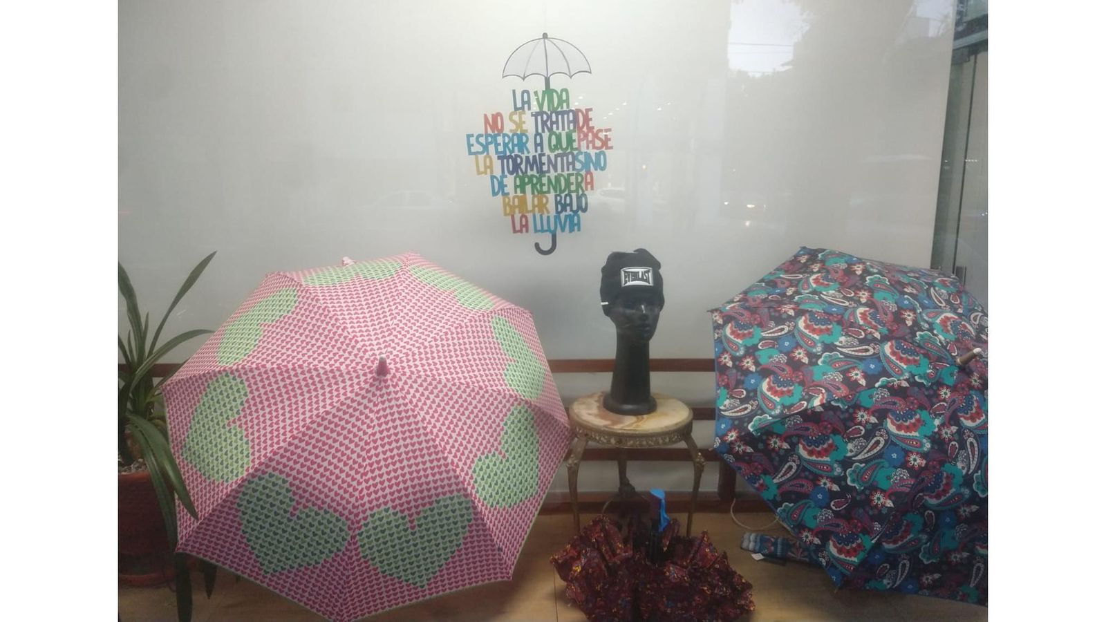 Un paragüería que es mucho más