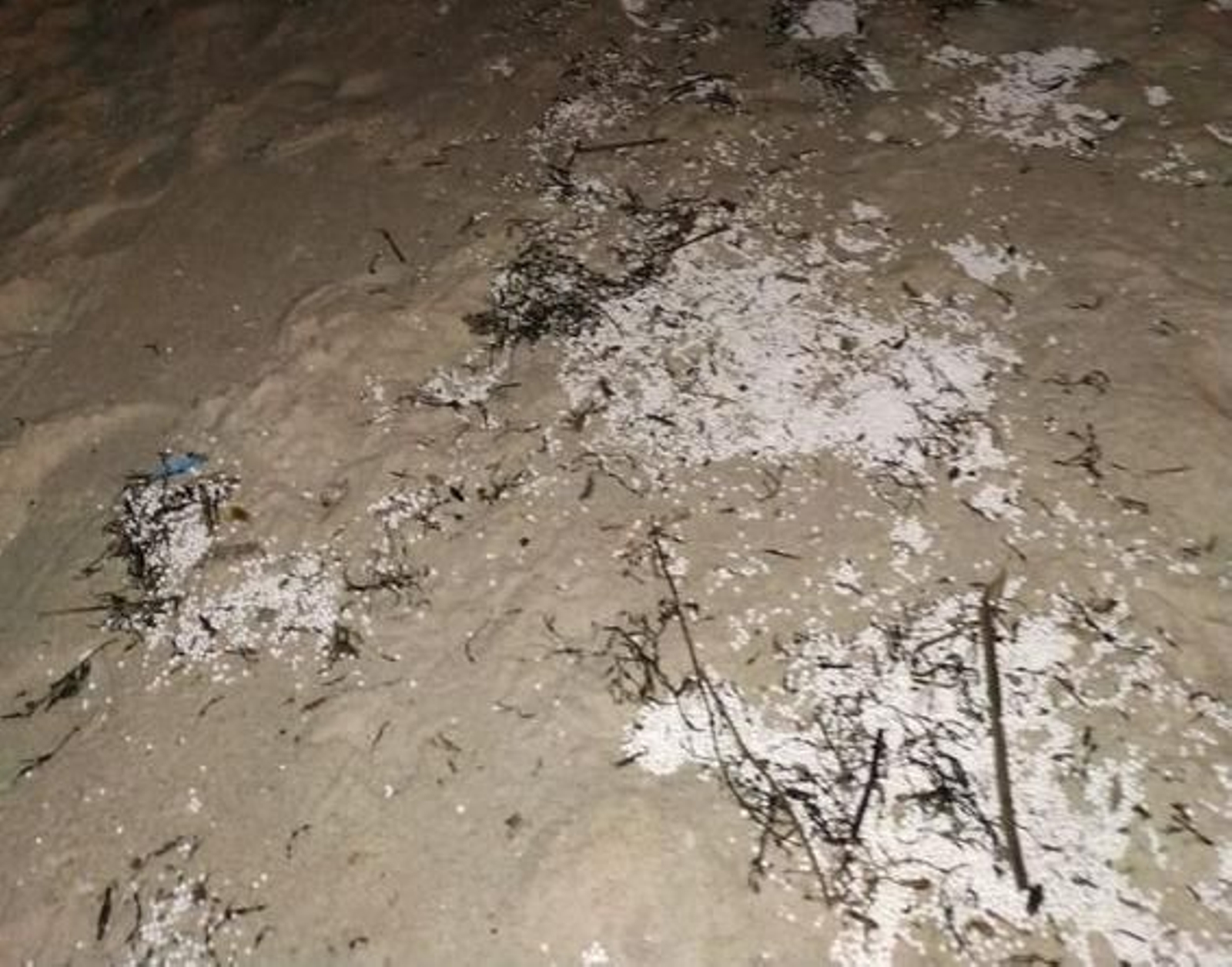 Imagen de los restos en la playa de Samil, tomadas este lunes.