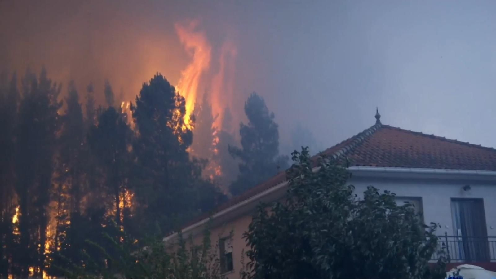 El incendio forestal en Monforte de Lemos _ Alberte03