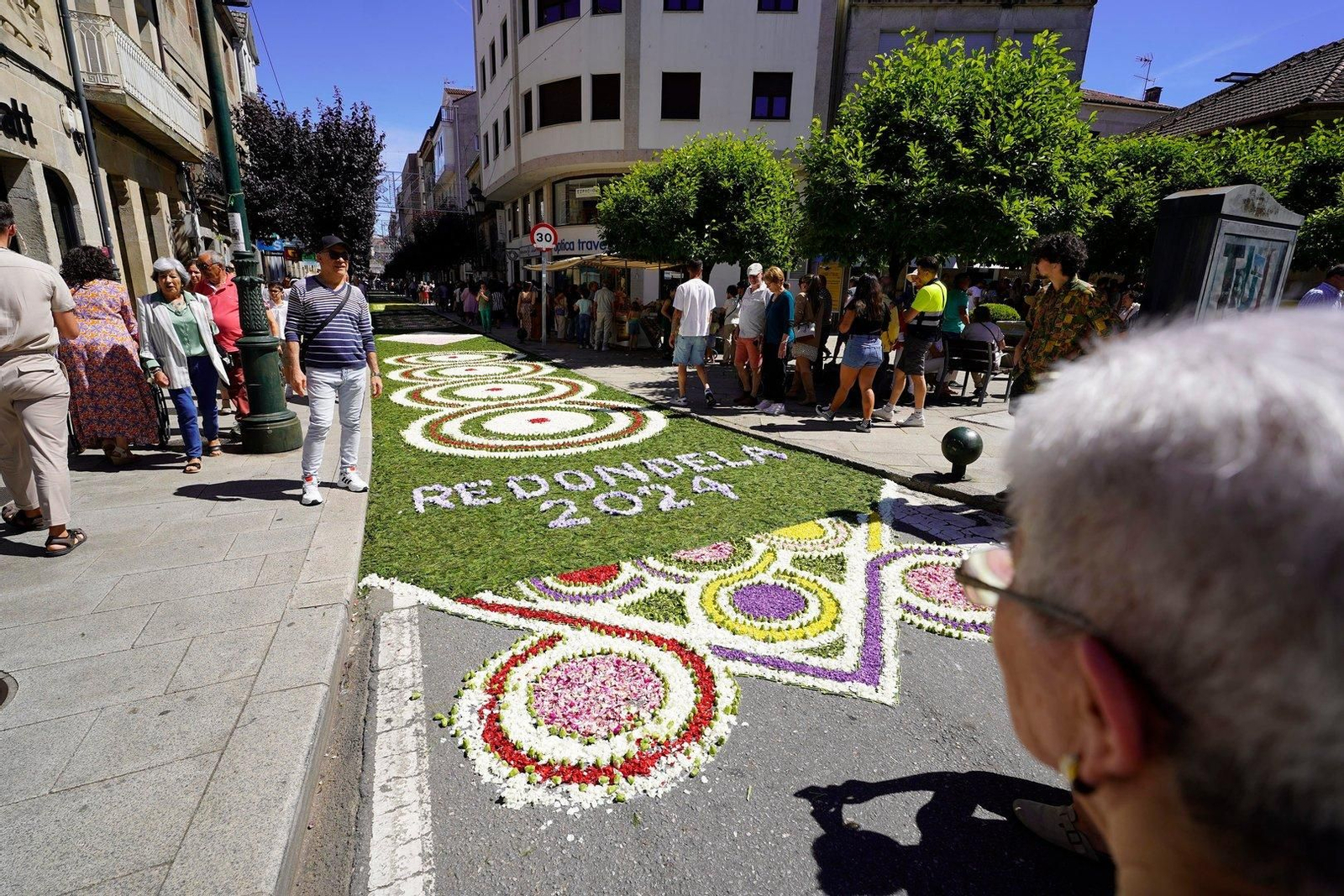Alfombras florales en la Festa da Coca de Redondela 2024.