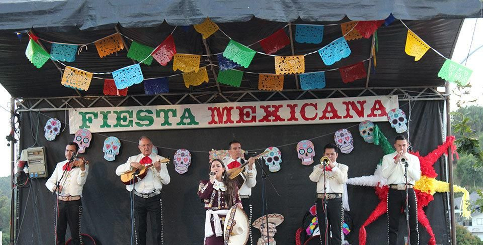 fiesta-mexicana-avion-2015-2016