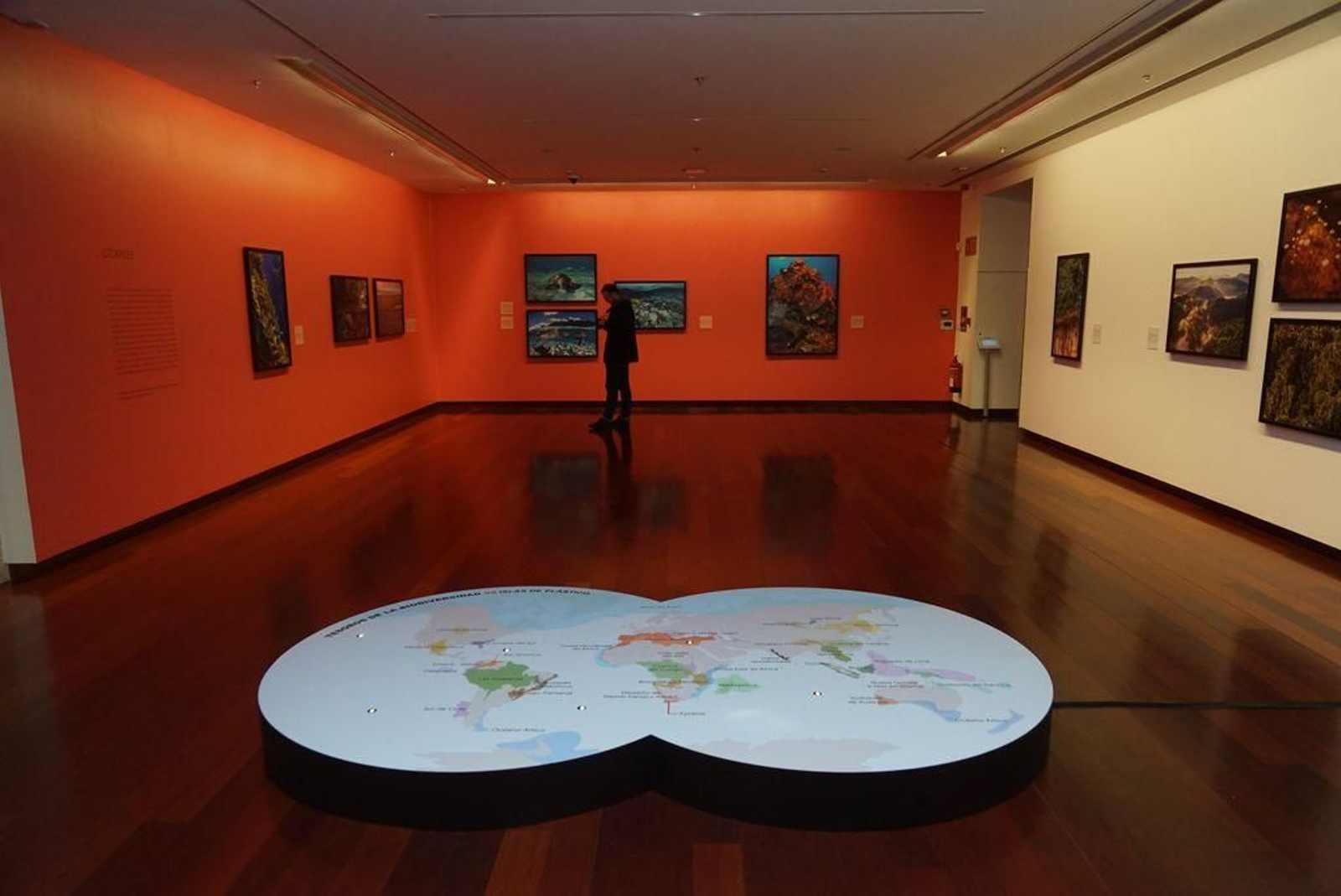 “O noso planeta” se inauguró el 3 de marzo en Centro Social Afundación.