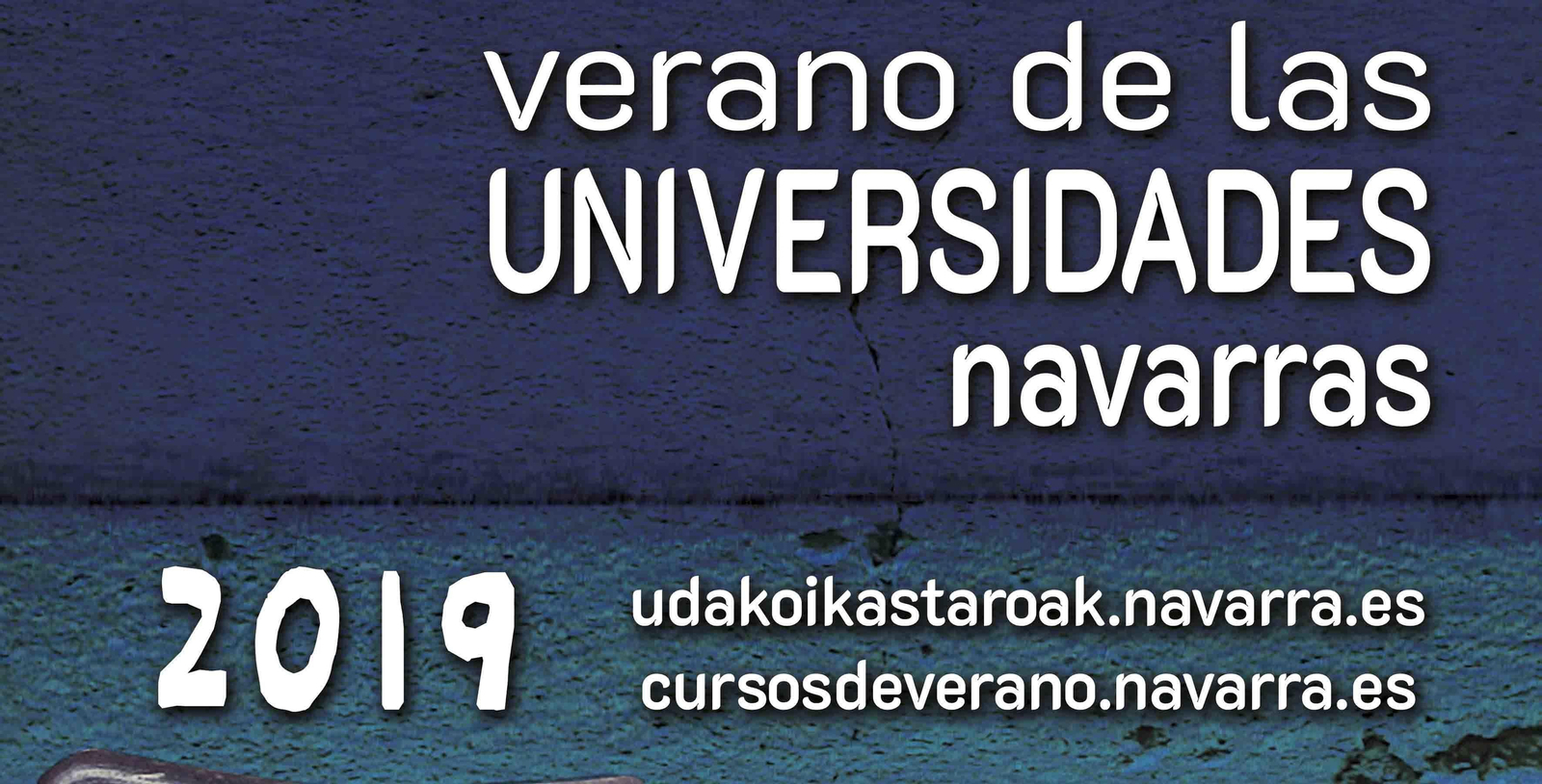 Navarra Cursos web