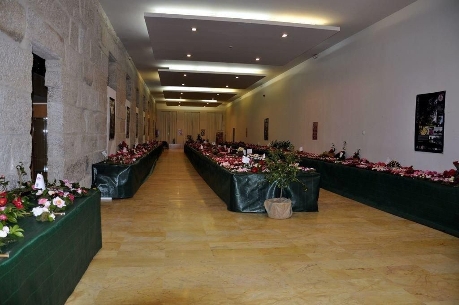 La exposición tendrá lugar este fin de semana en el Área Panorámica.