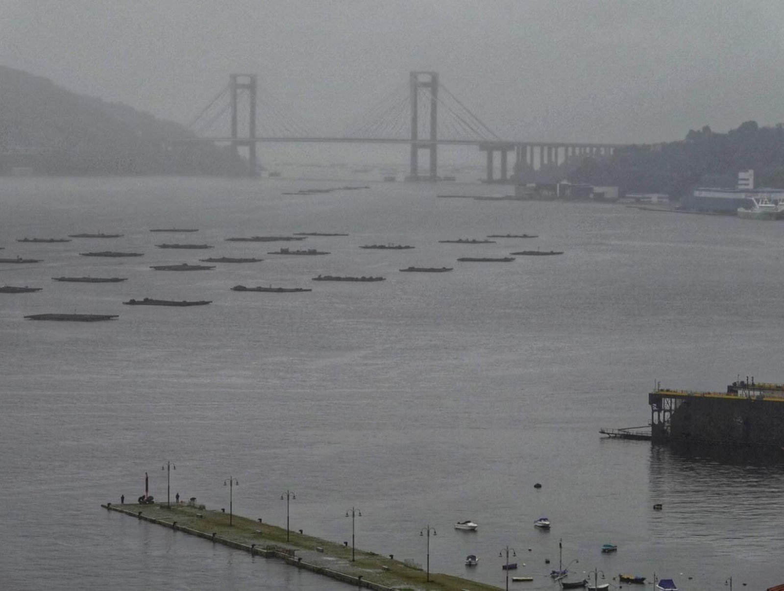 El muelle de la ETEA con el puente de Rande al fondo. // Vicente Alonso