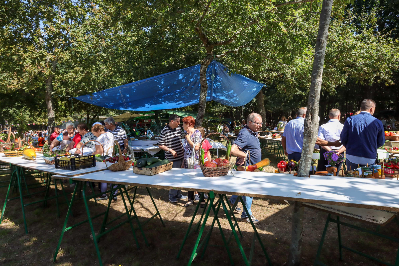 Festa do Pan de Millo de Cabral. Foto J. Santome