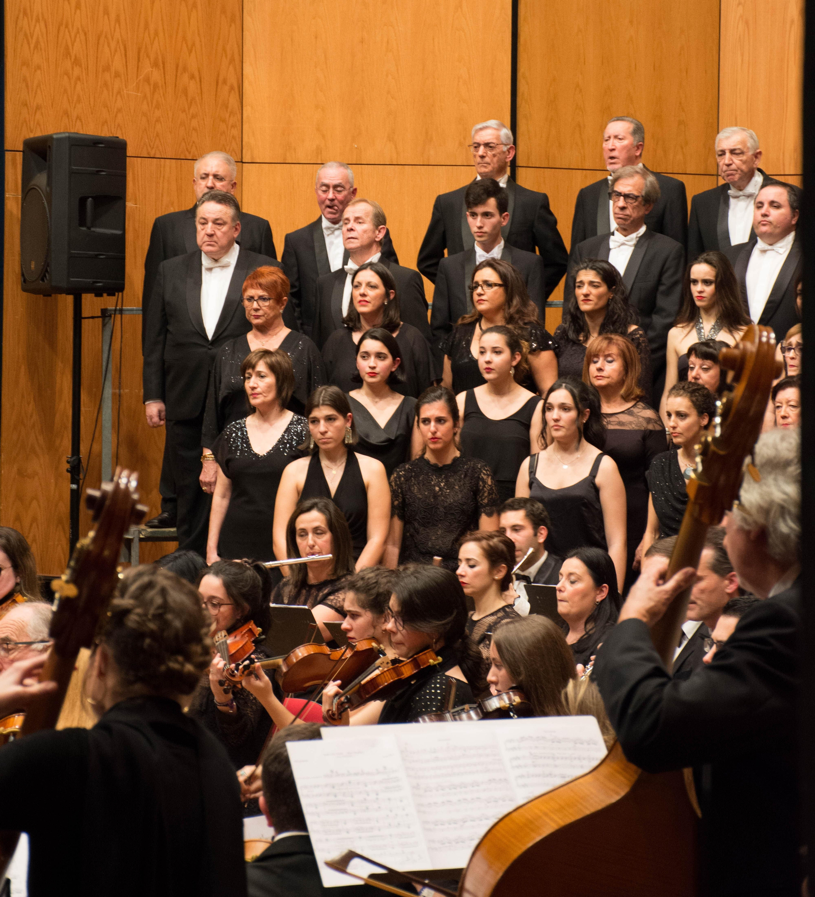 La Coral y Orquesta Casablanca, la más antigua de Vigo. El premio lo recibirá el 23 de febrero.