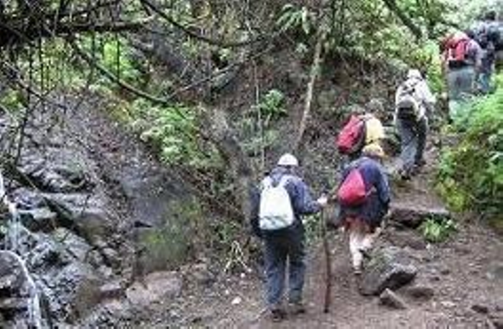 Varias personas realizando una ruta de senderismo.