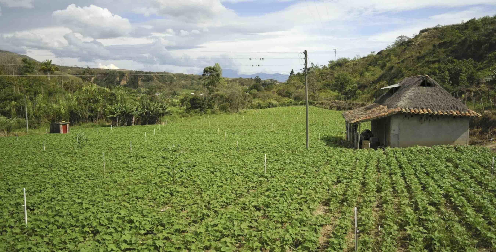 2016-el-mejor-aNo-en-la-financiacion-del-campo-colombiano-2