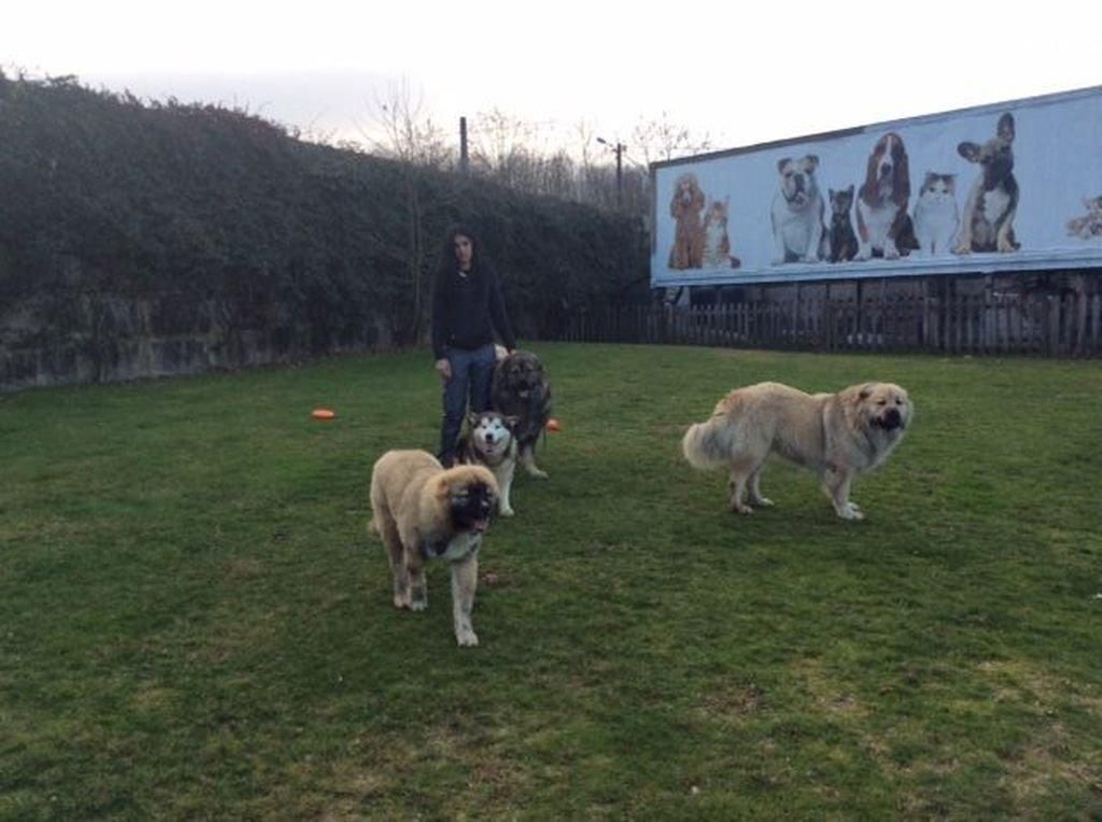 Casaldog cuenta con 17.000 metros cuadrados en sus instalaciones.