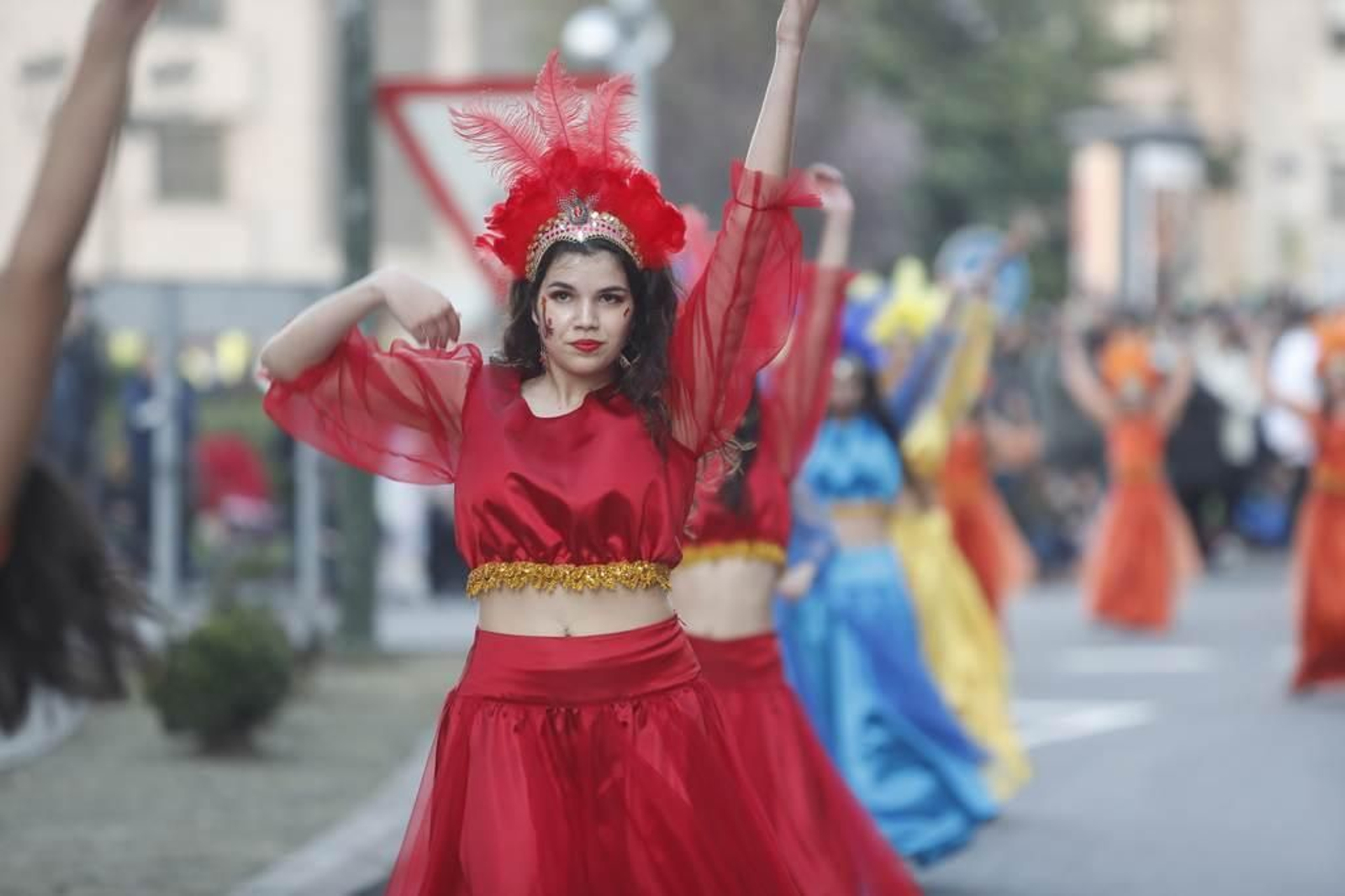 Desfile del Entroido en Vigo 333
