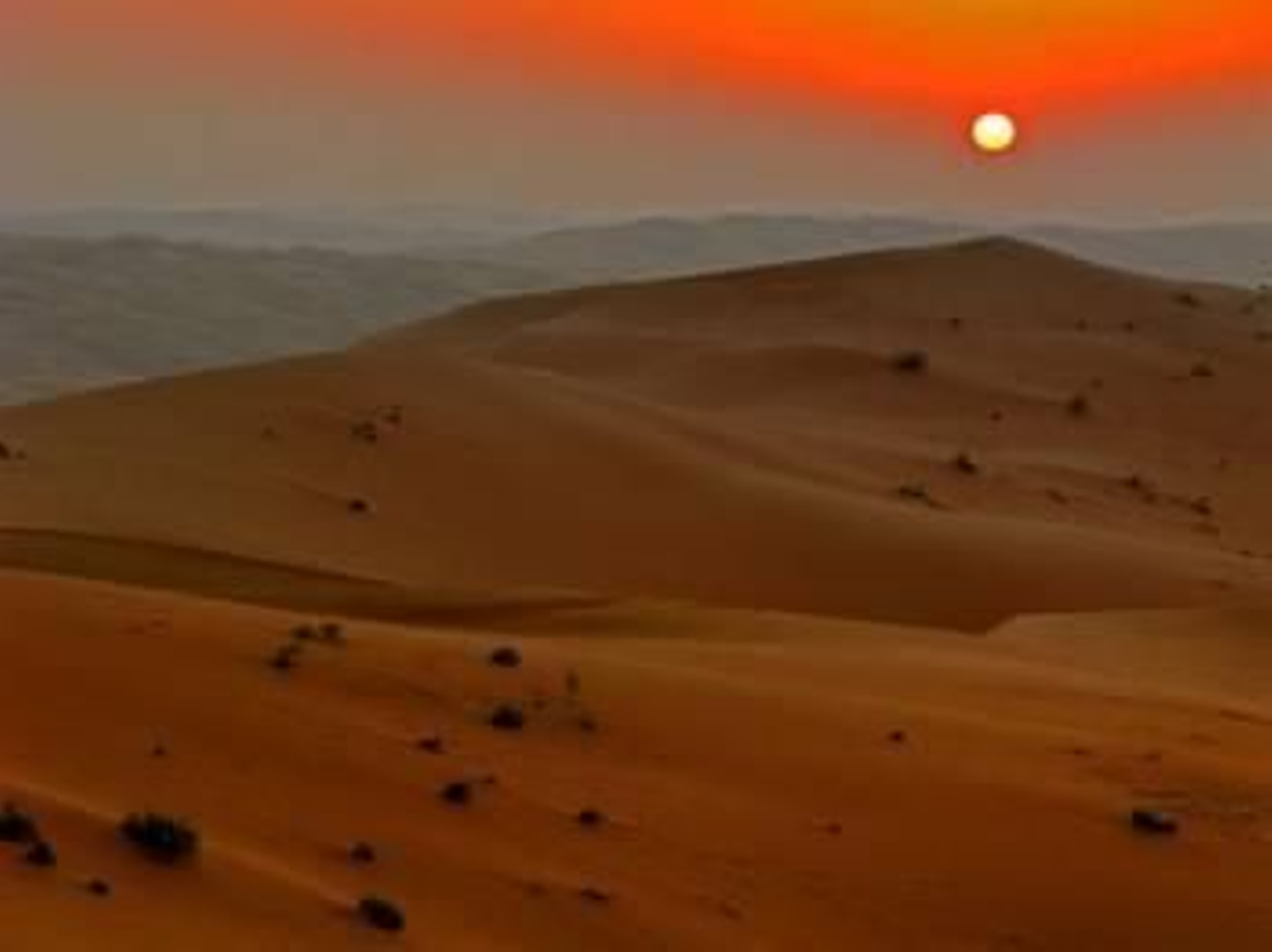 Foto: JAVIERBLAS/WIKIMEDIA COMMONS