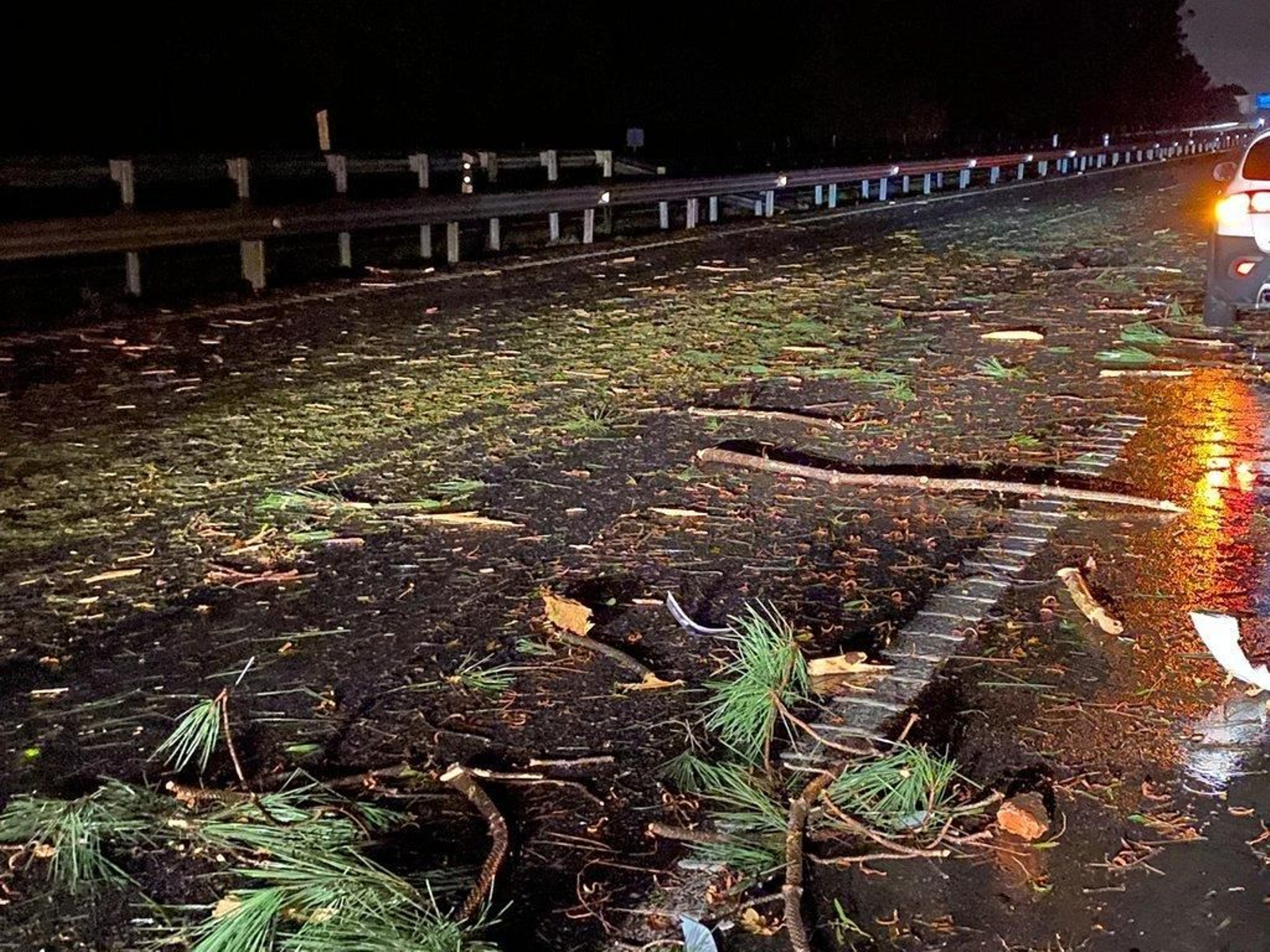 Los efectos de la borrasca "Elsa" // Alberte