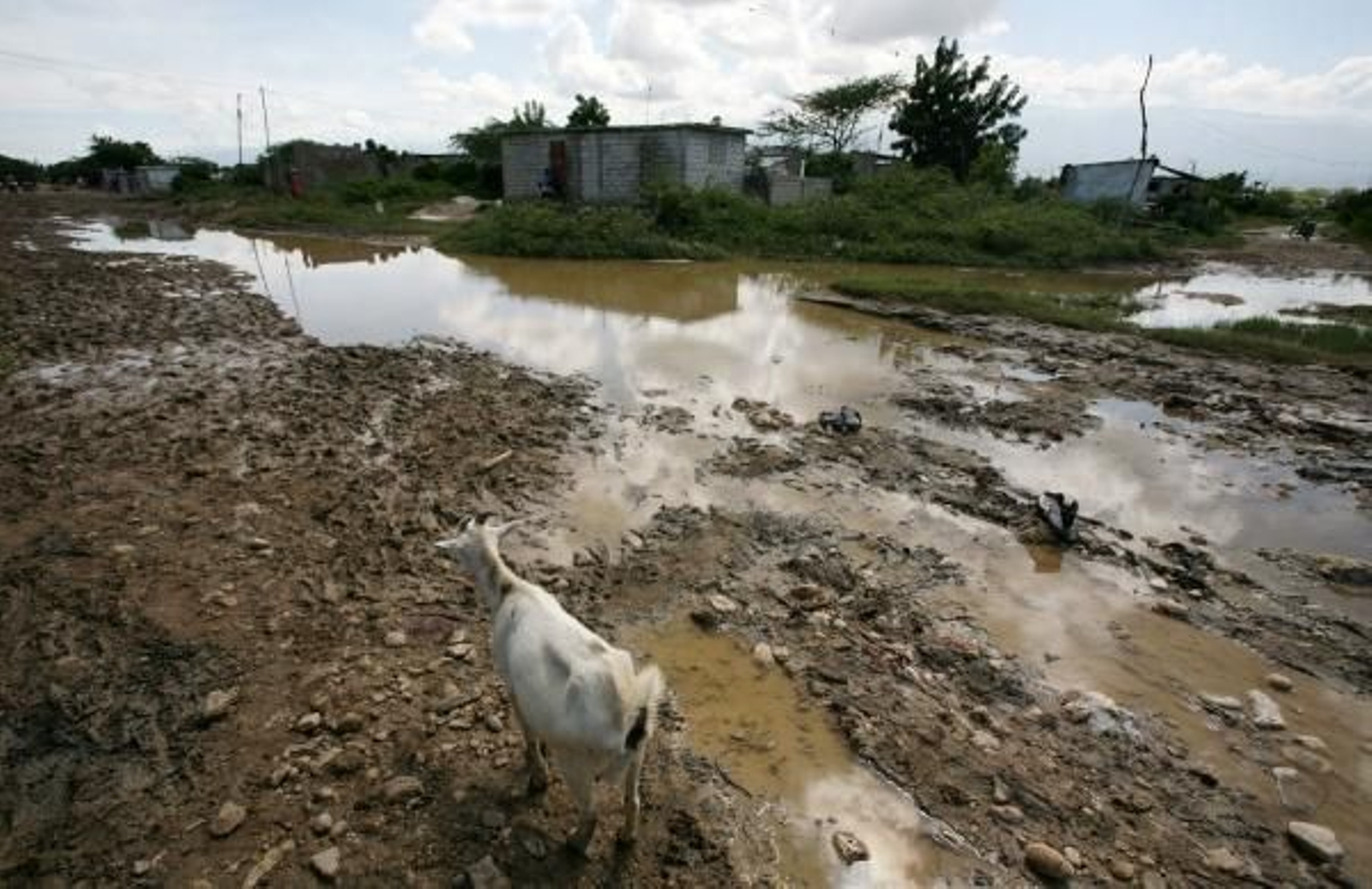Los efectos de la tormentas aún son visibles en Haití.