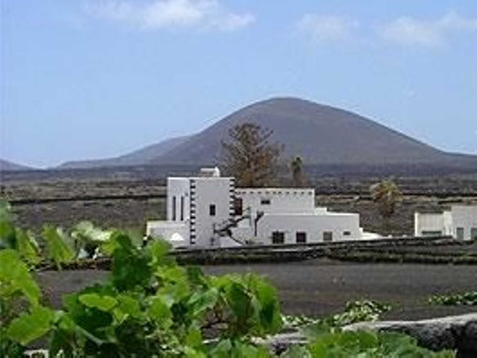 Paisaje Protegido de La Geria.