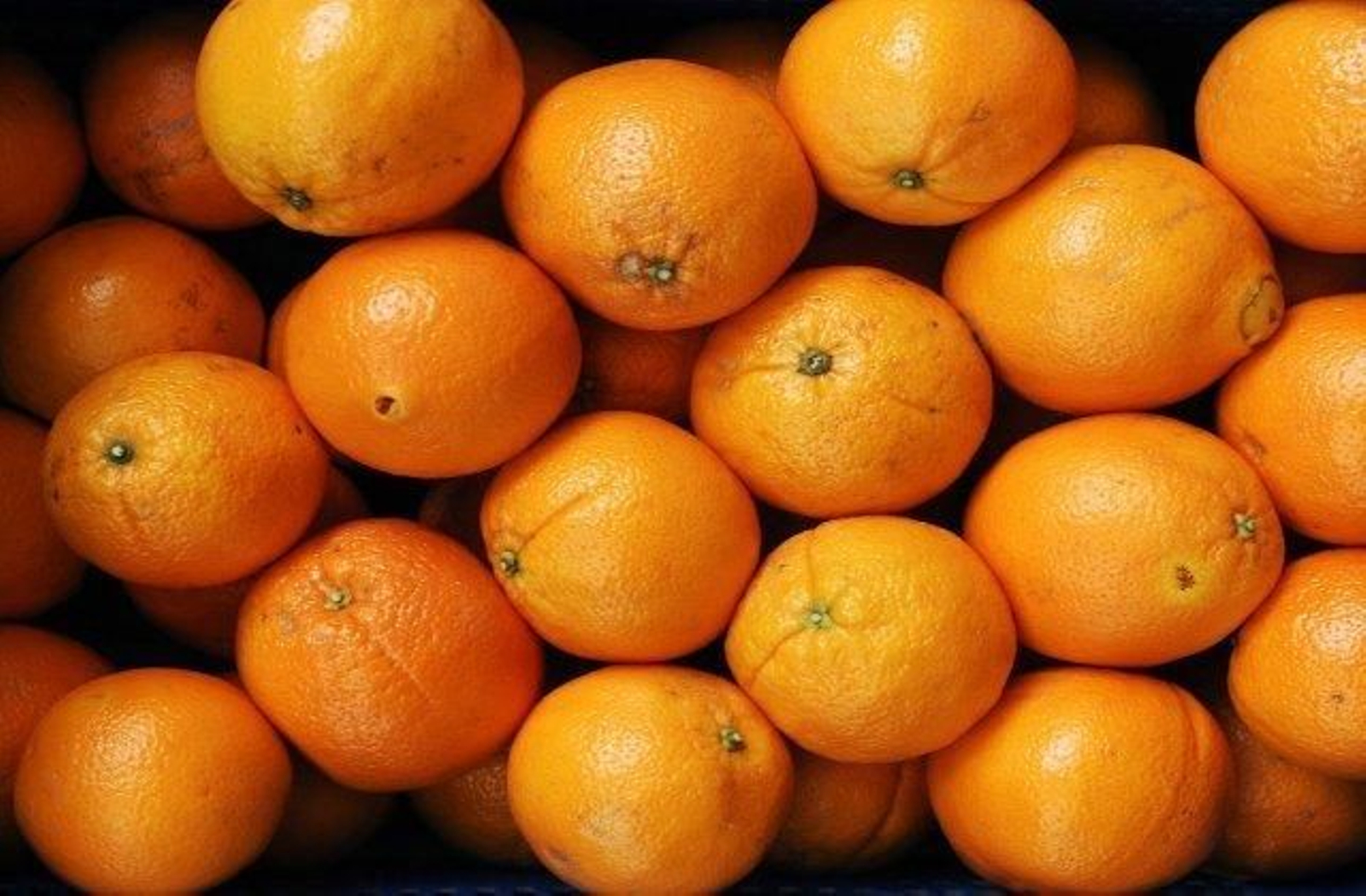 th_8fc04ea7ab7f8358dc86c8811256f72c_1401718118Naranjas.EFE