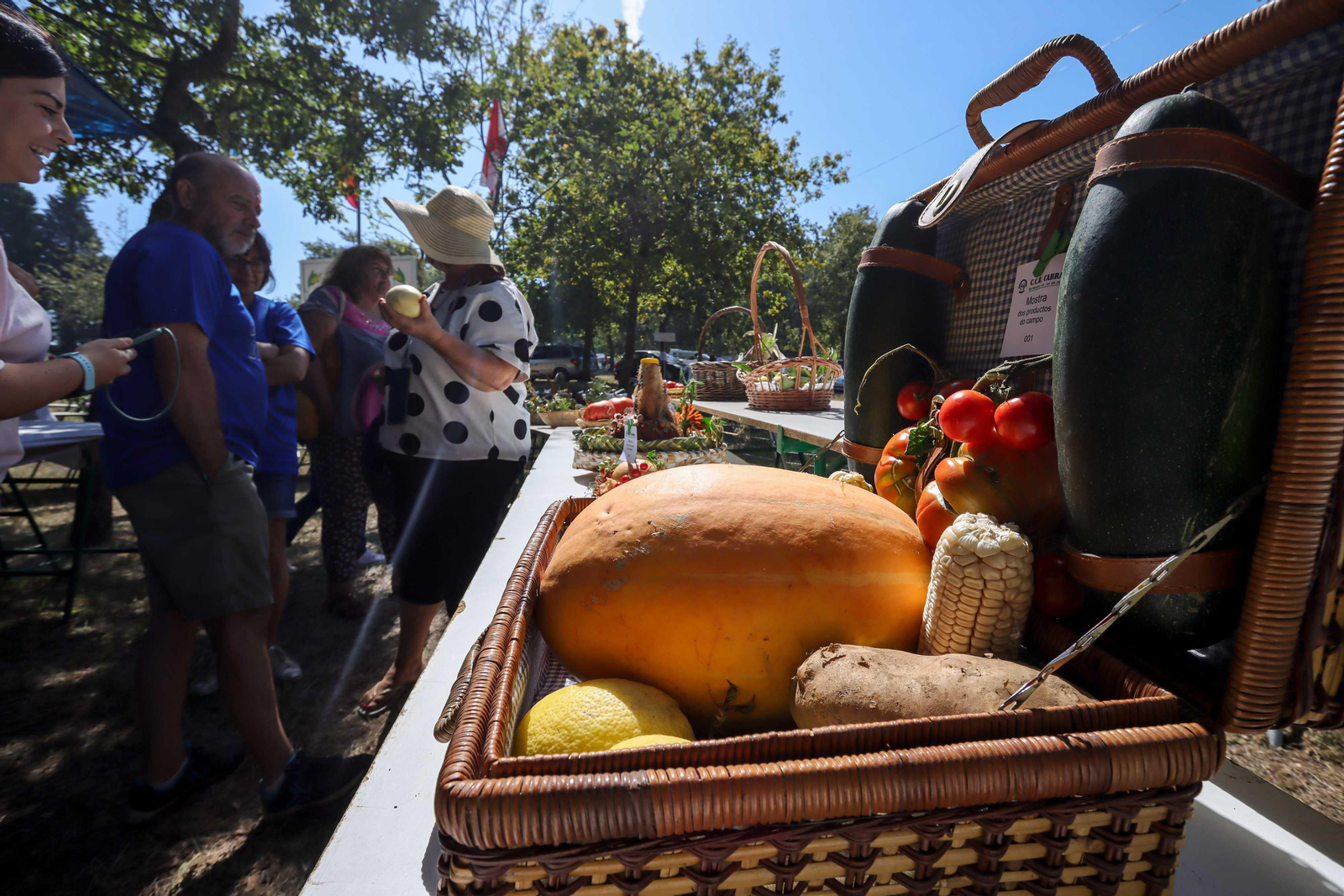Festa do Pan de Millo de Cabral. Foto J. Santome