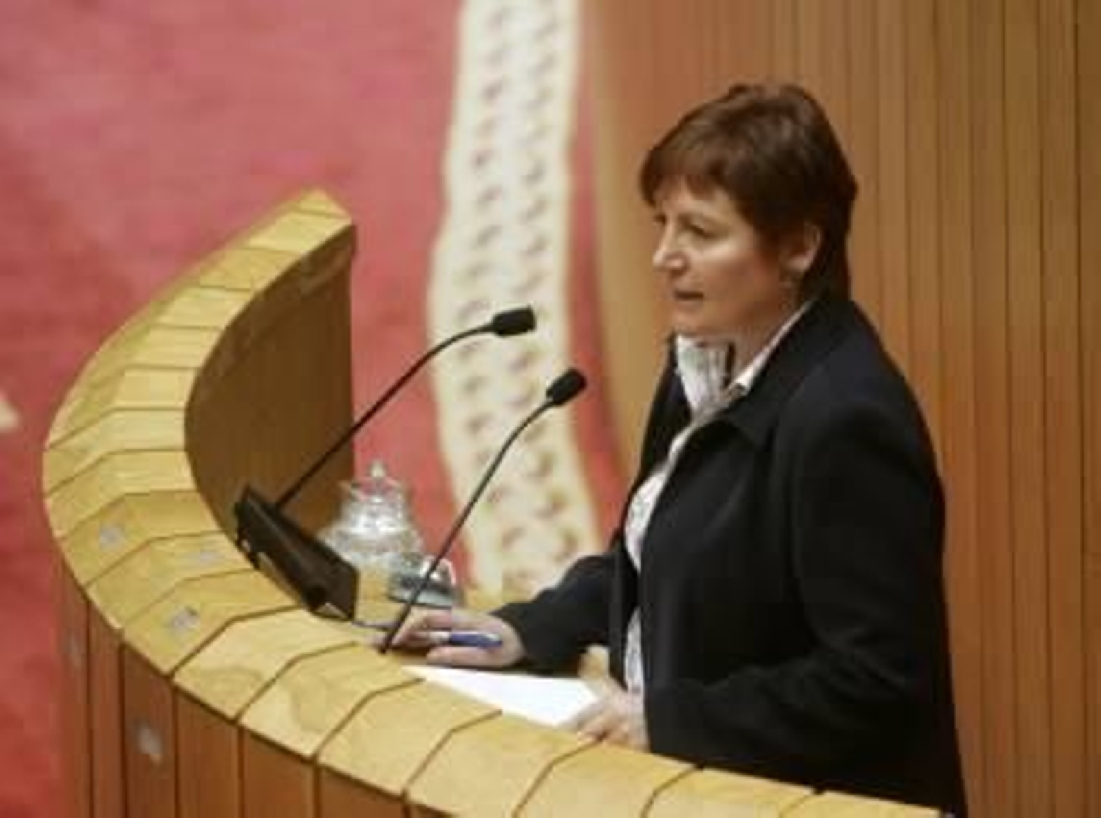 La conselleira de Sanidade, Rocío Mosquera, durante su intervención ante el pleno del Parlamento. (Foto: XOAN REY)