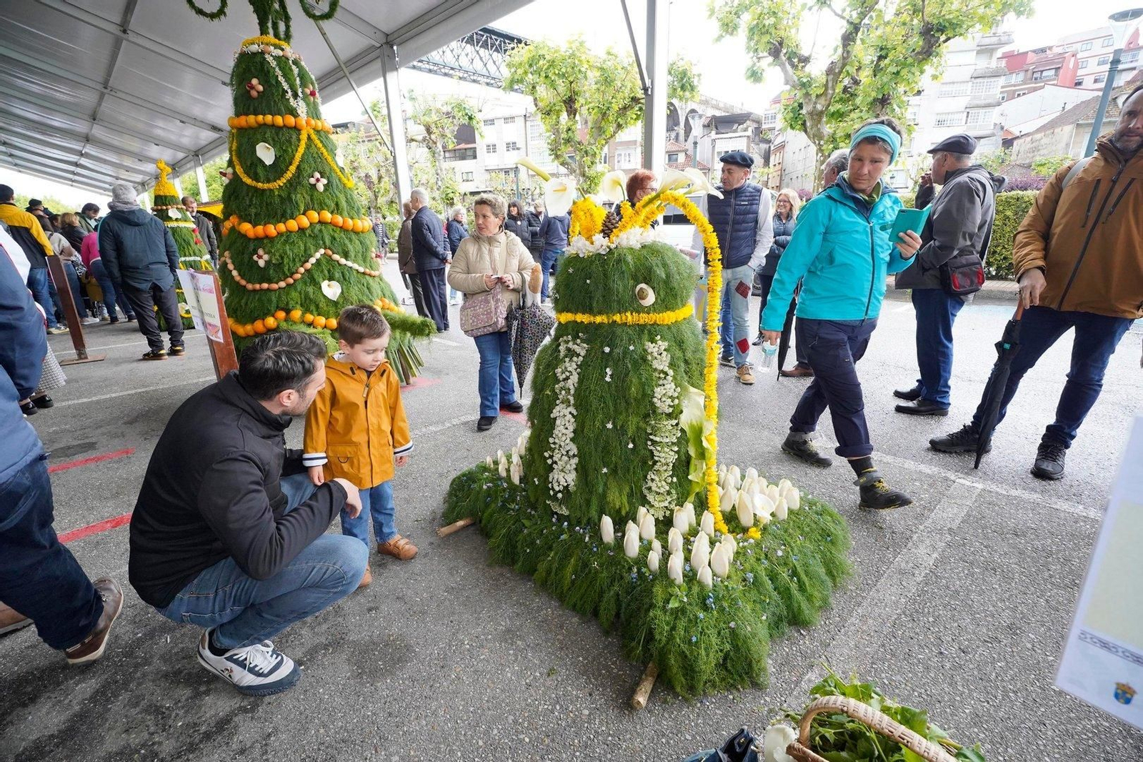 Festa dos Maios en Redondela. // J.V. Landín