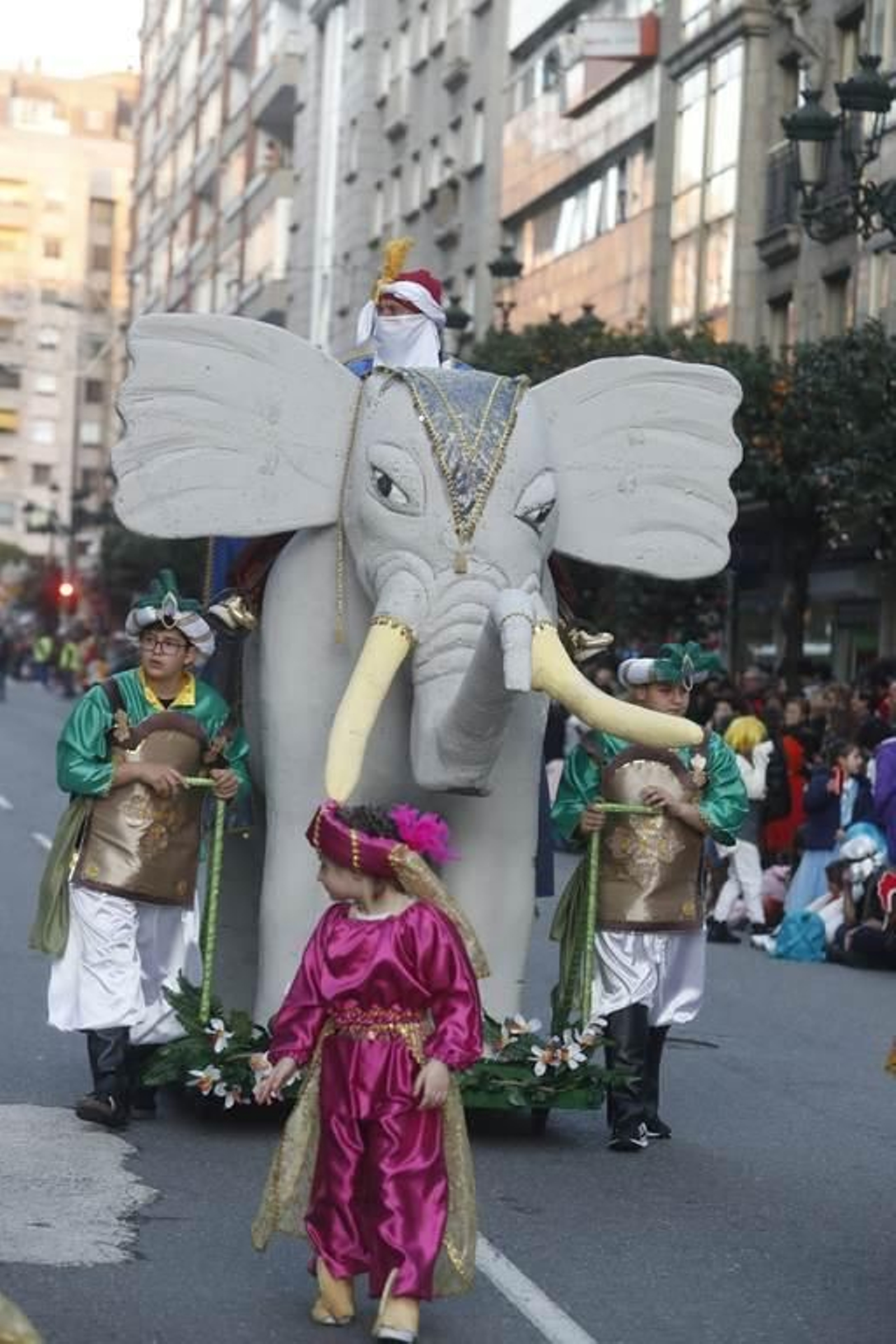 Desfile del Entroido en Vigo 353