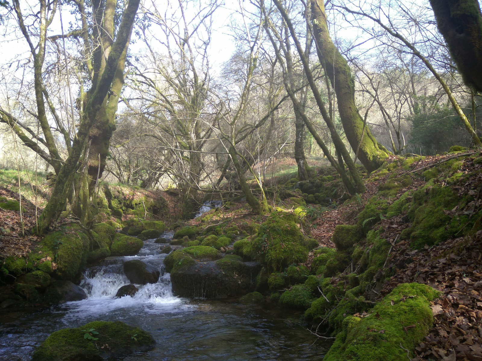 El trail recorrerá lugares de especial interés paisajístico.