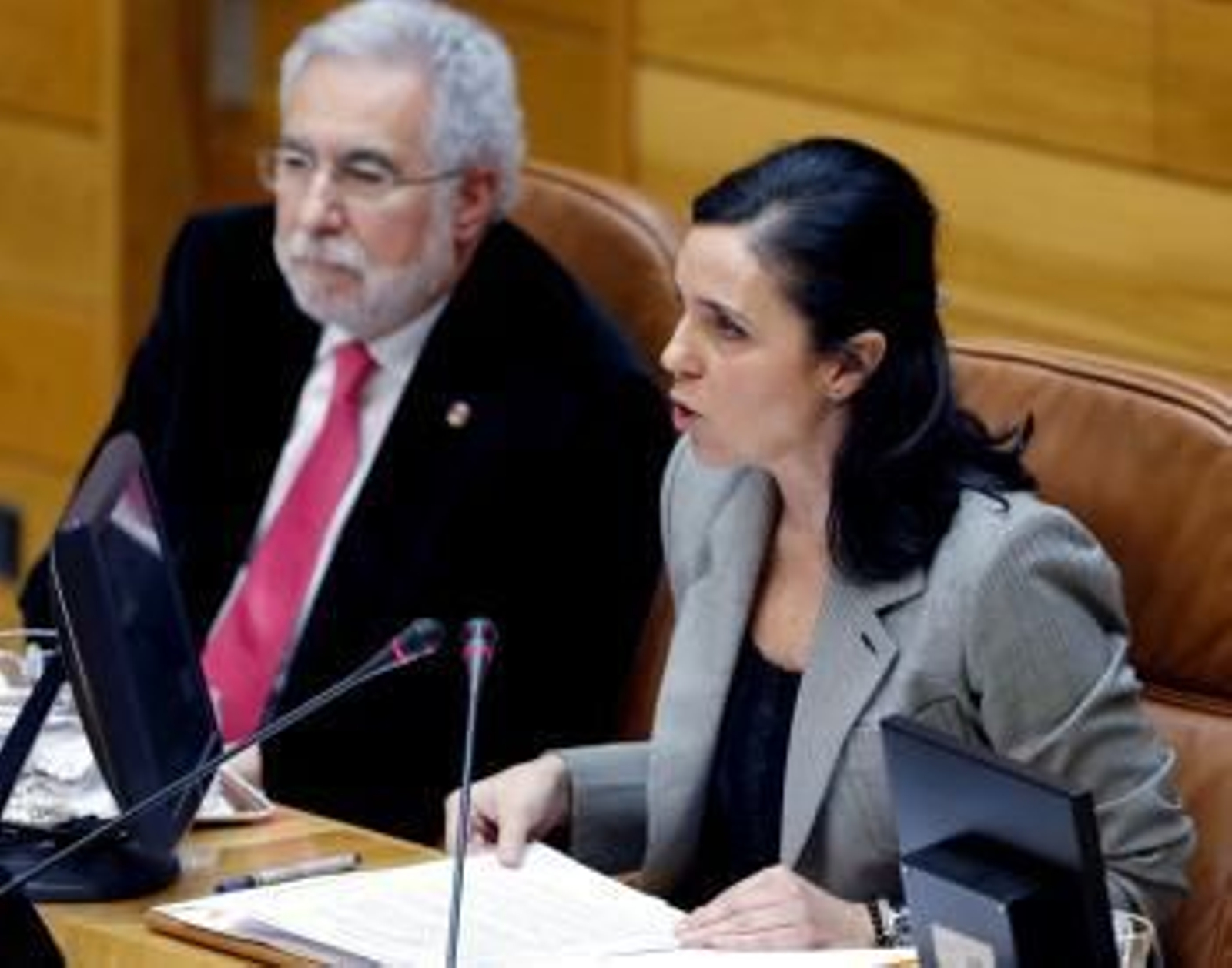 La presidenta del Parlamento, Pilar Rojo.