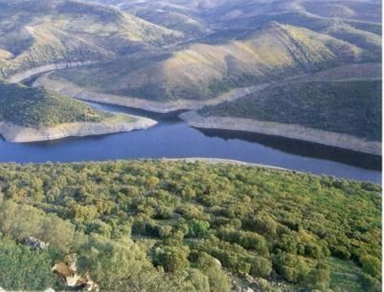 Vista del parque natural de Monfragüe.