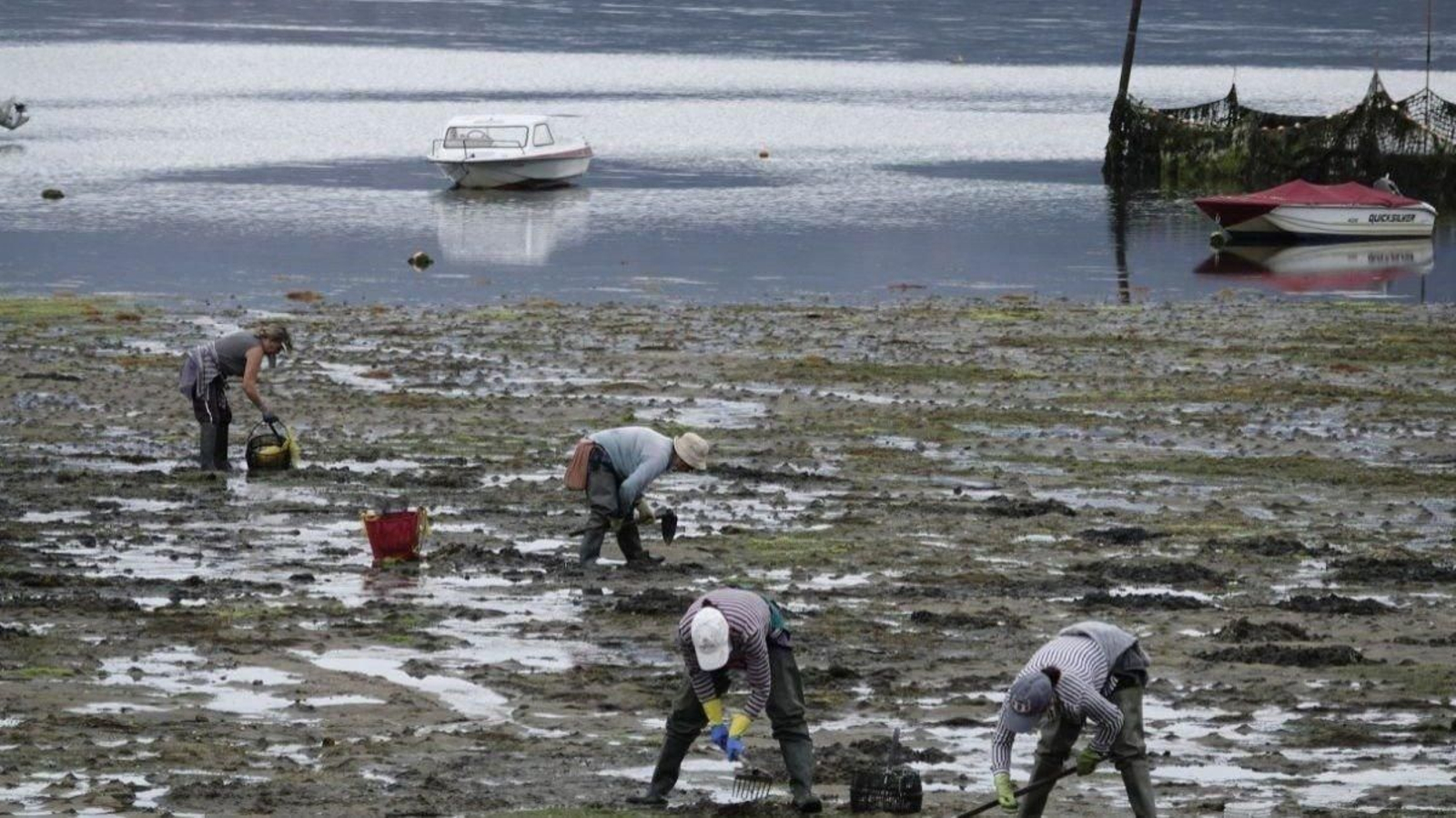 Un grupo de mariscadoras en la playa de A Punta (Cesantes).