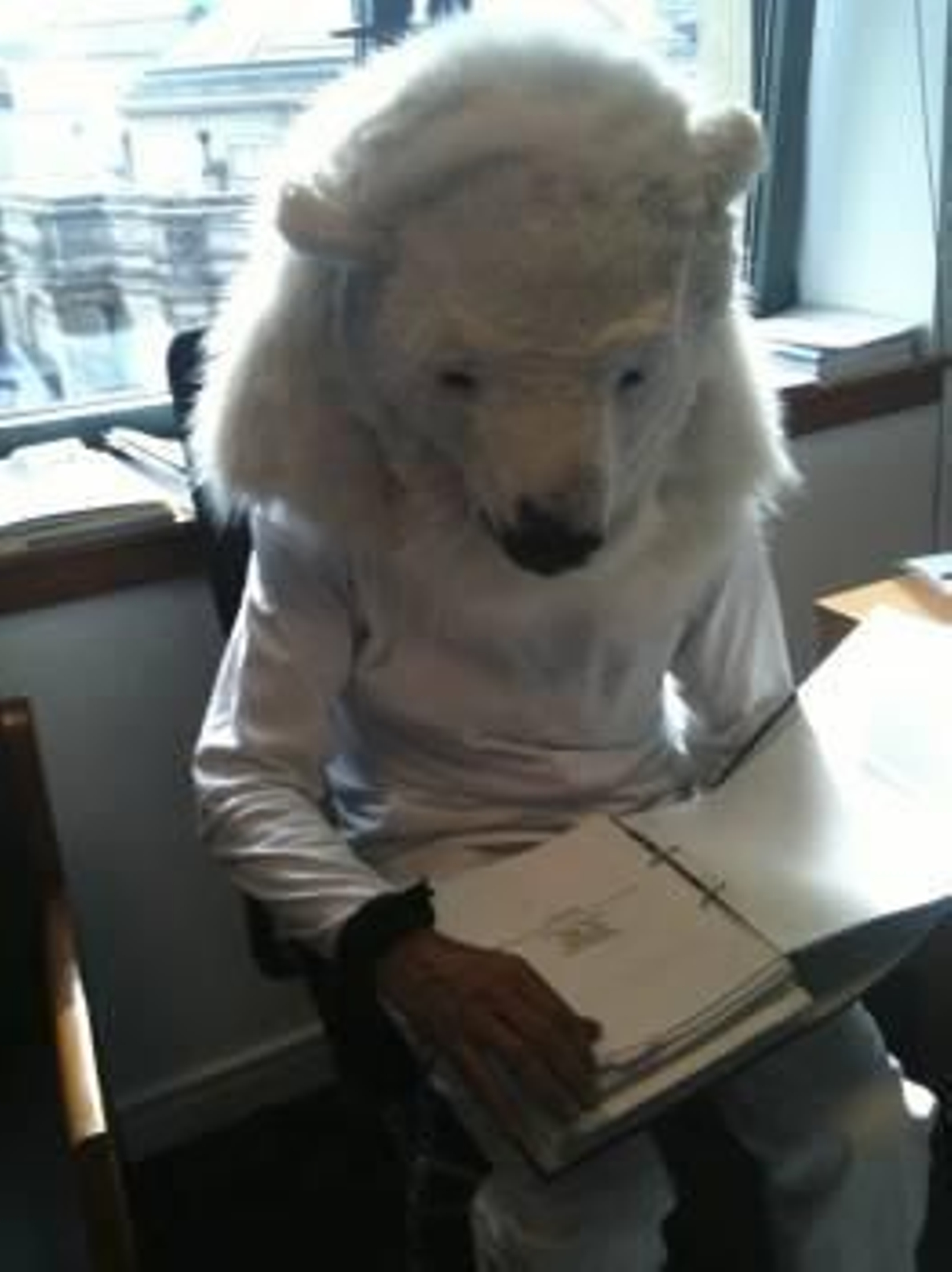 Activista vestido de oso polar (Foto: ef)