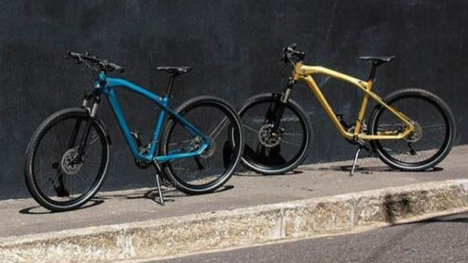 La bicicleta robada en Teis es un modelo de alto precio de la marca BMW.