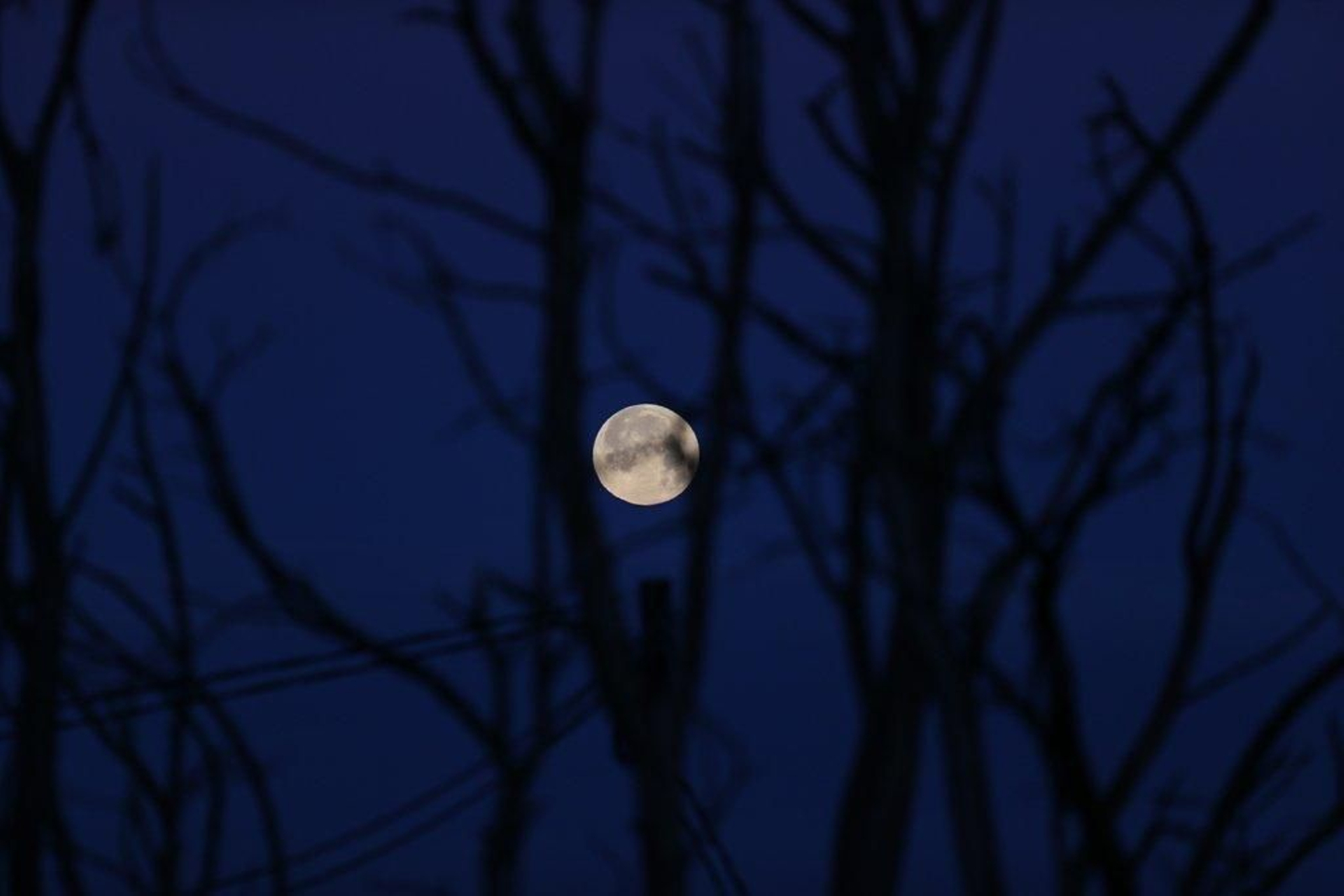 El eclipse total de Luna visto desde Vigo - Alberte  10