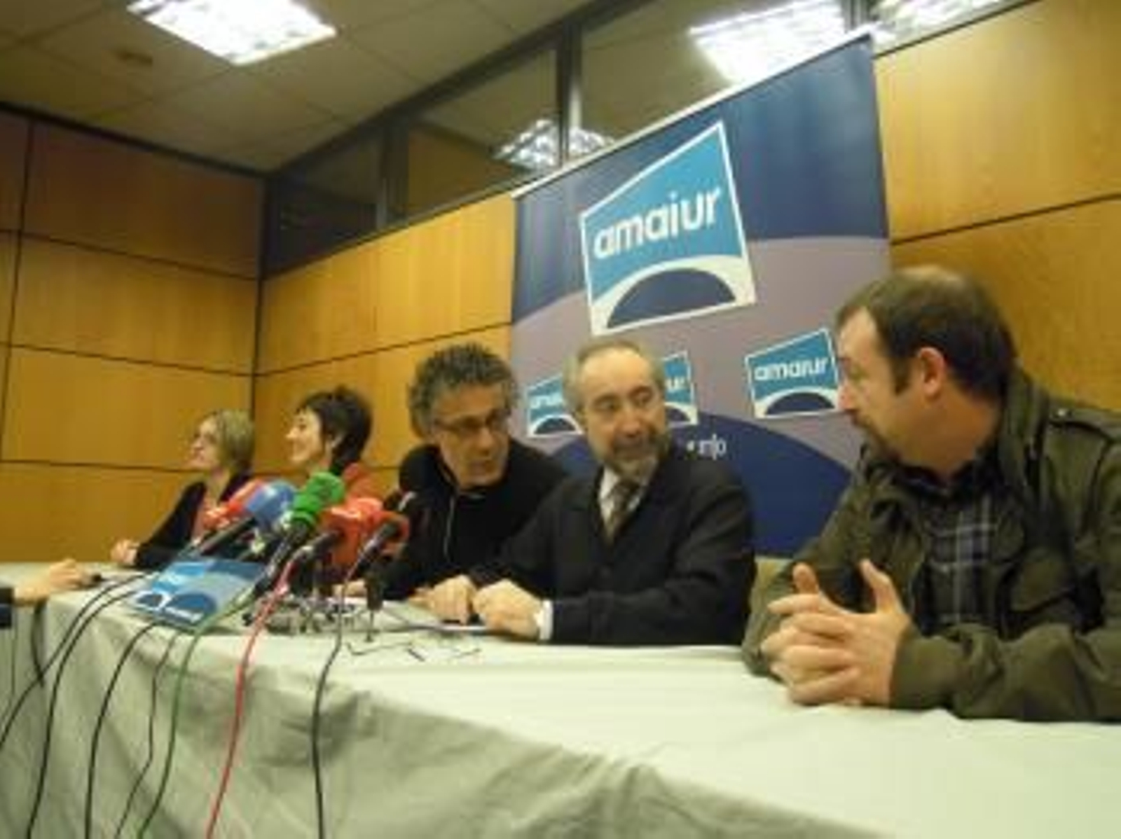 Diputados de Amaiur sobre el veto en el Congreso.