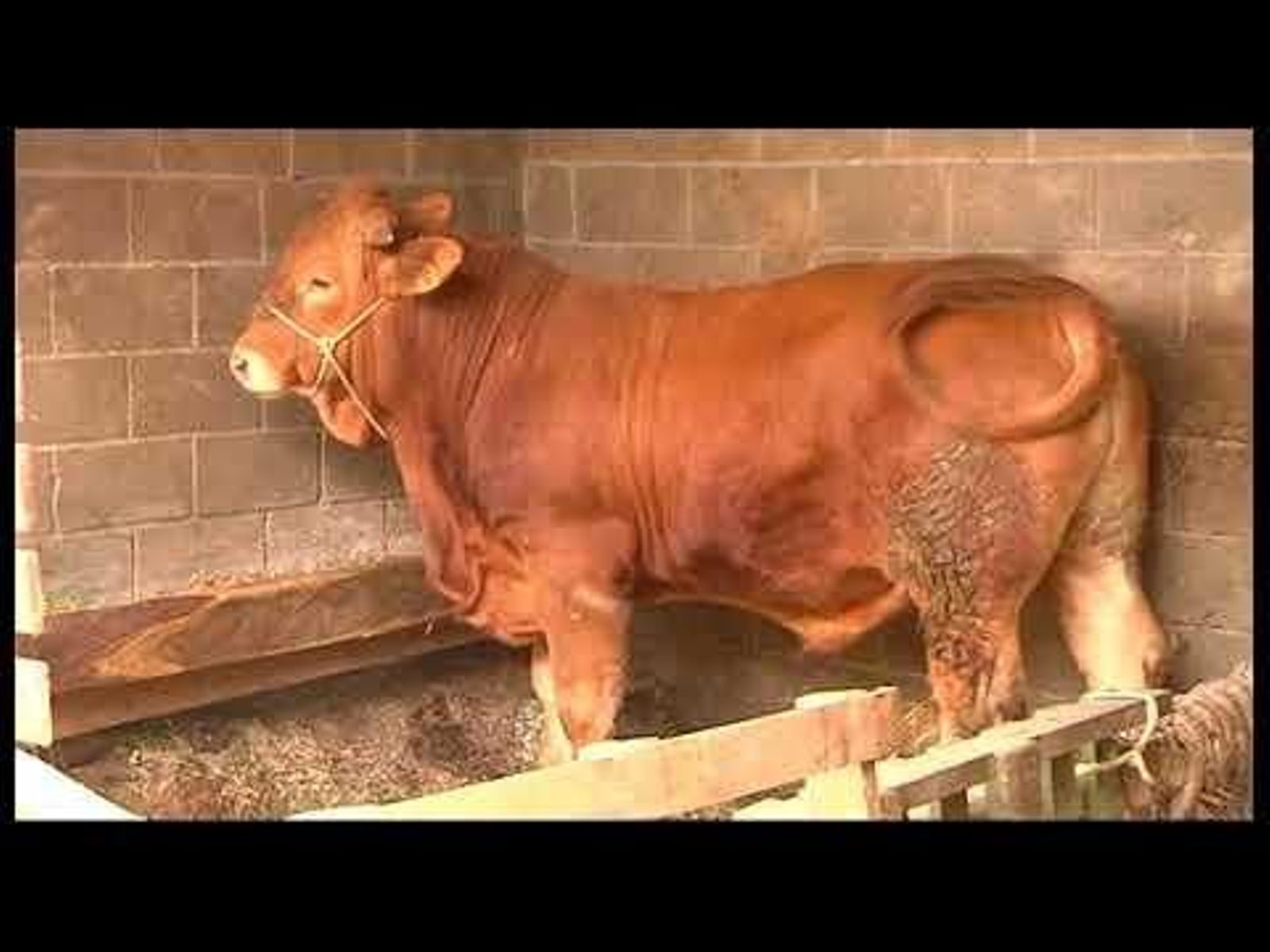 COUSAS DE COMER A 08-05-2018