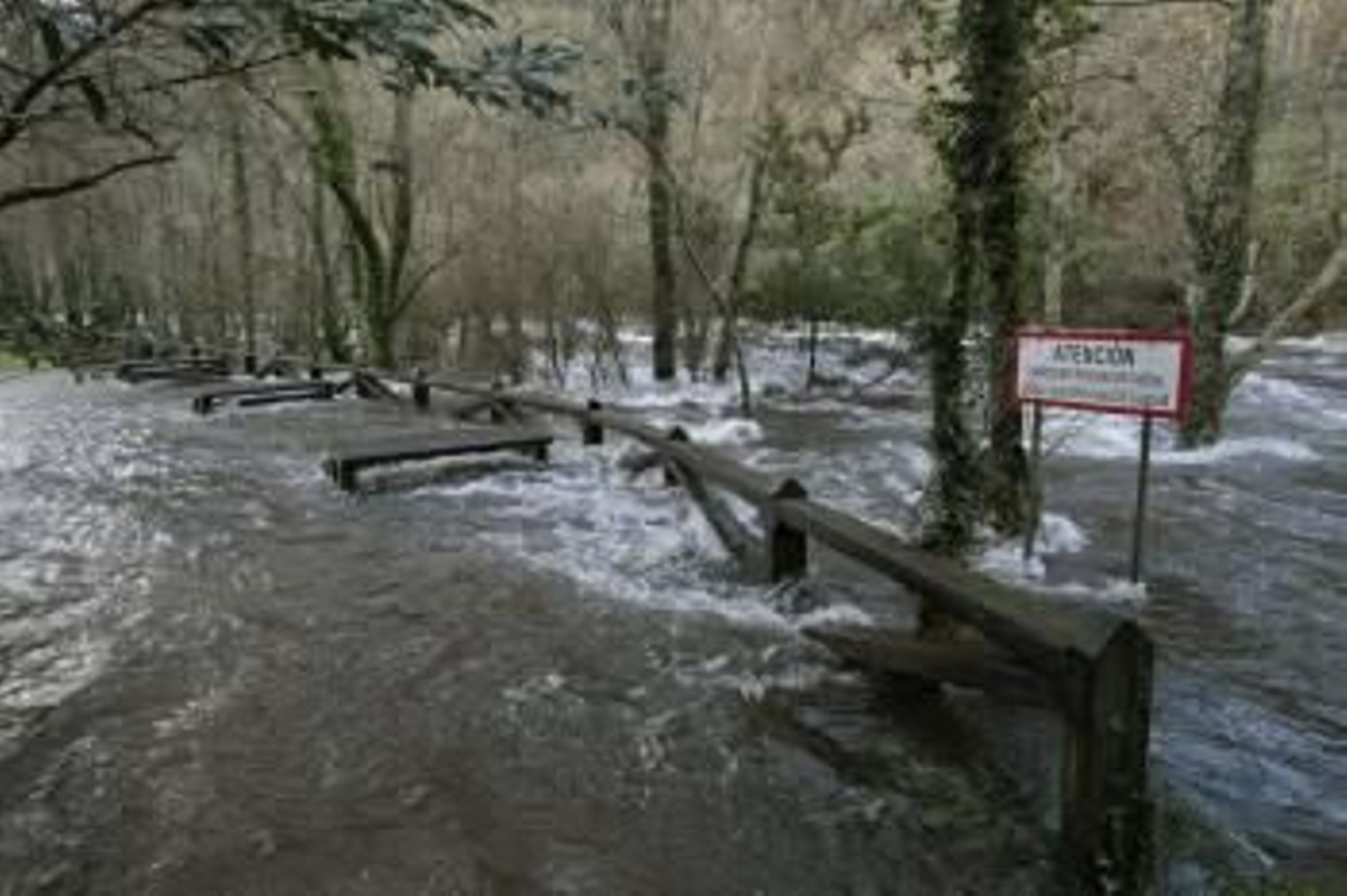 El Eume, desbordado a su paso por el parque de las Fragas, en Pontedeume. (Foto: CABALAR)