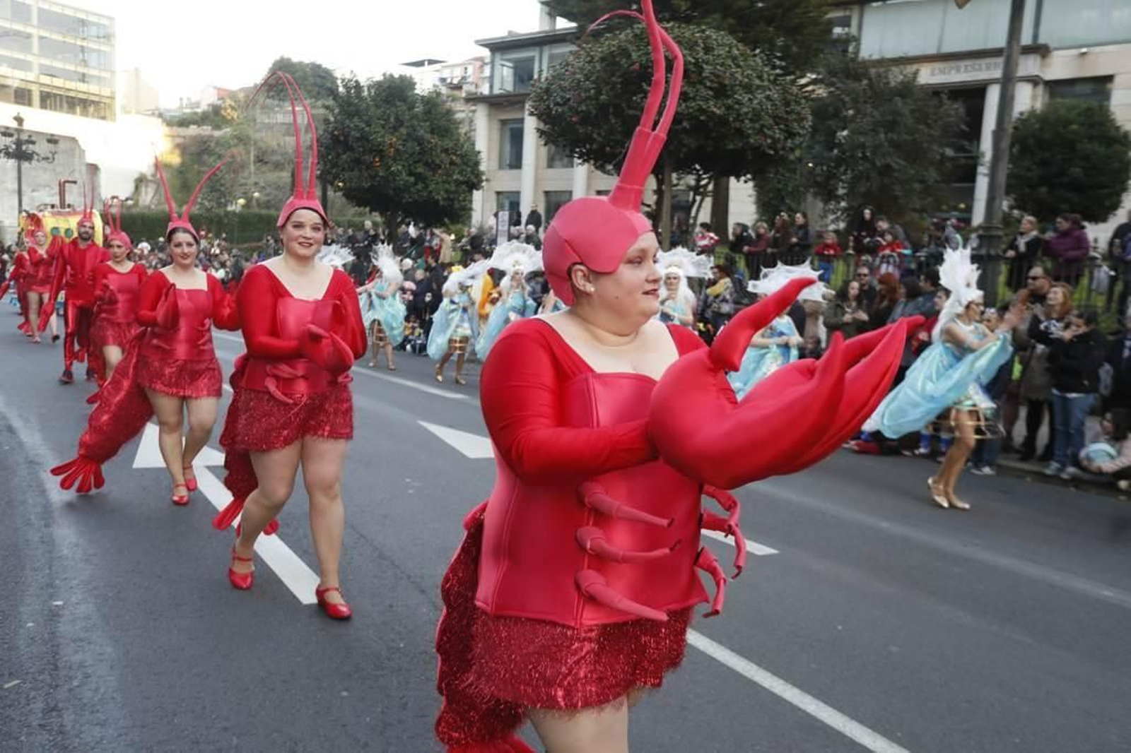 Desfile del Entroido en Vigo 487