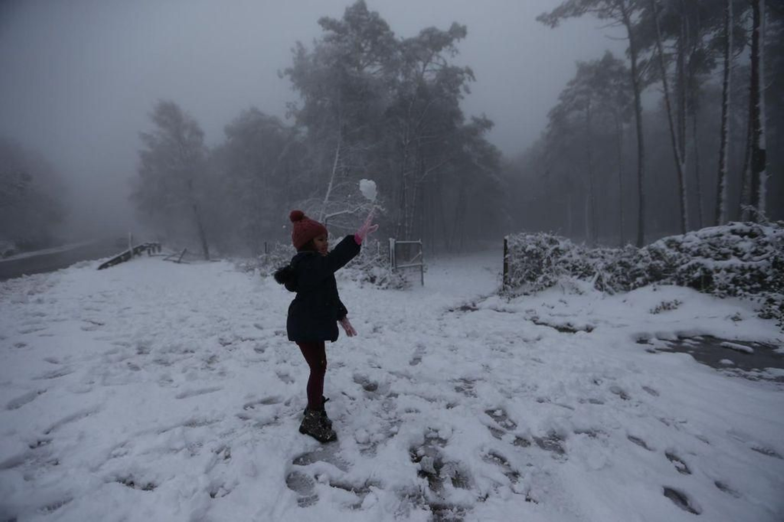 La nieve cubre el Alto de Fontefría // Alberte