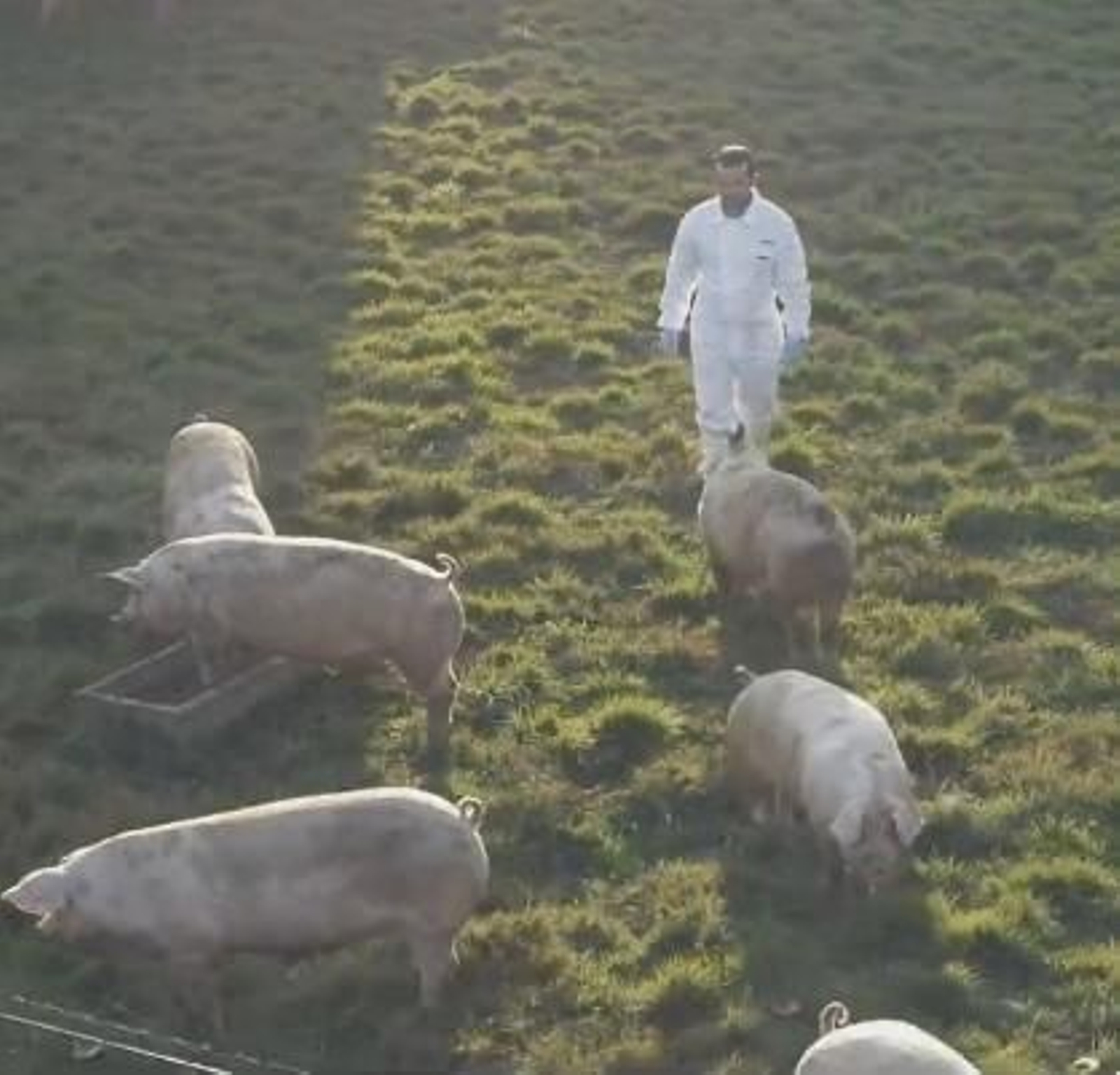 Captura do anuncio de Coren no que resalta os productos galegos.