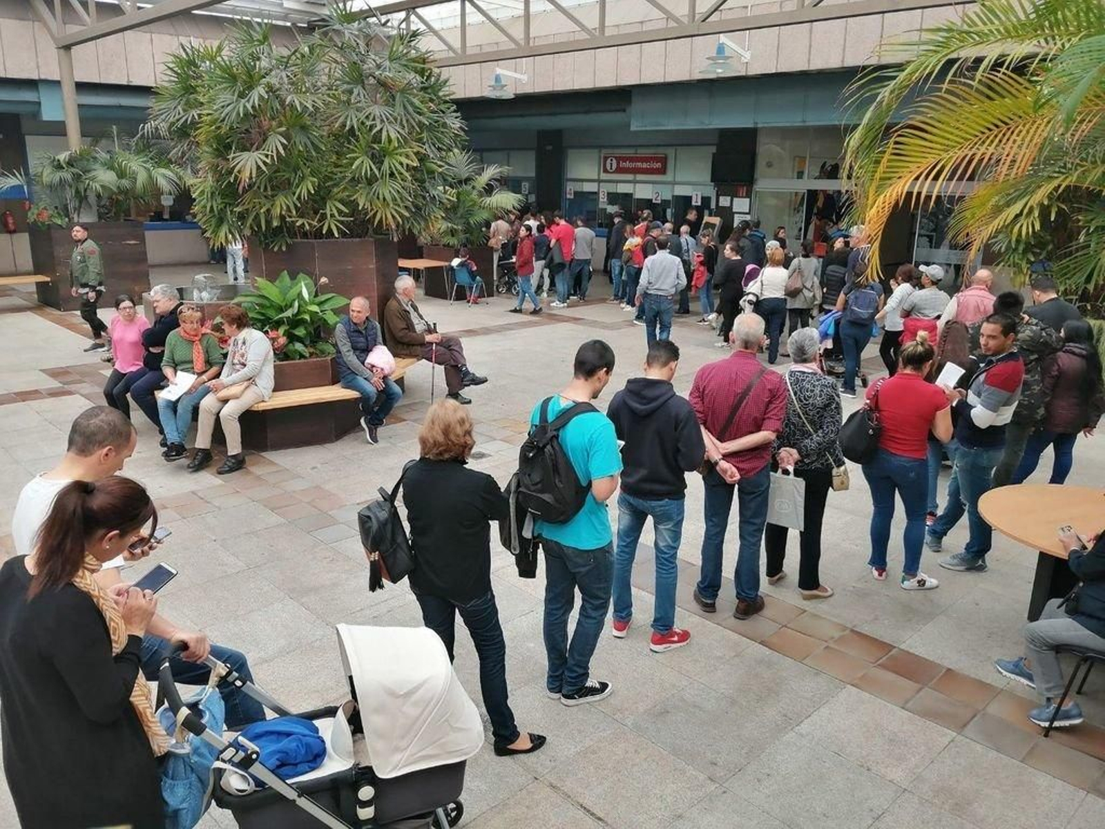 Colas esta semana para comprobar el censo y otros documentos relacionados en la oficina del Concello.